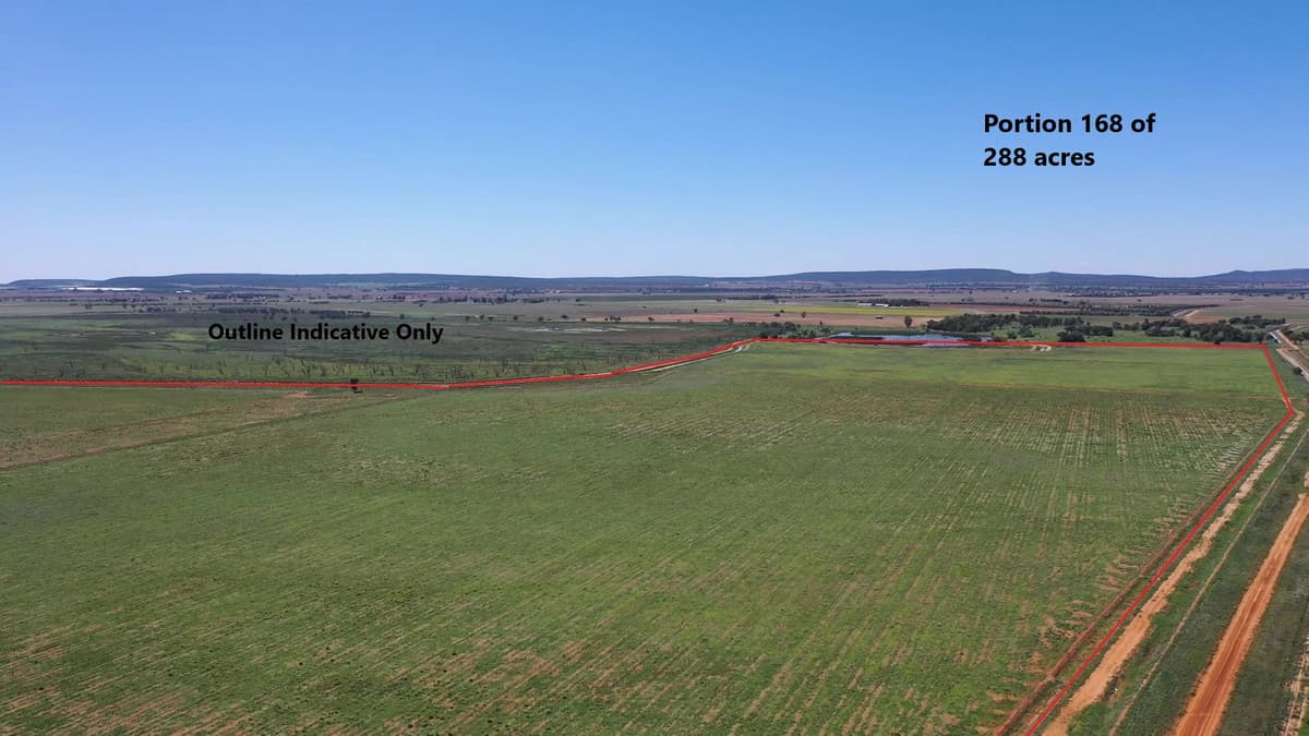 375B Saunderson Road, LEETON, Leeton - Thumbnail 4