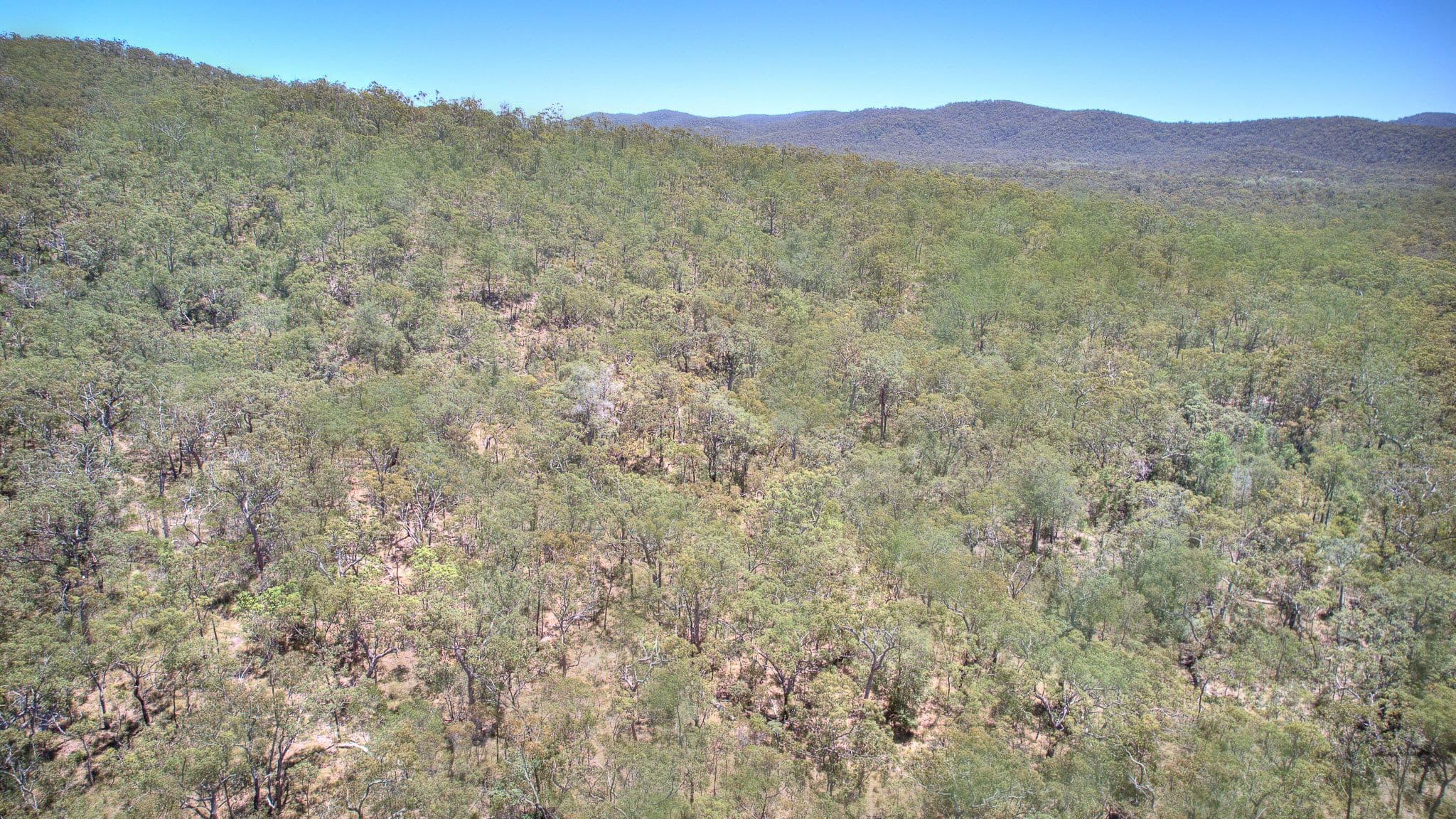 479 Davies Road, Captain Creek QLD 4677, Captain Creek - Thumbnail 7