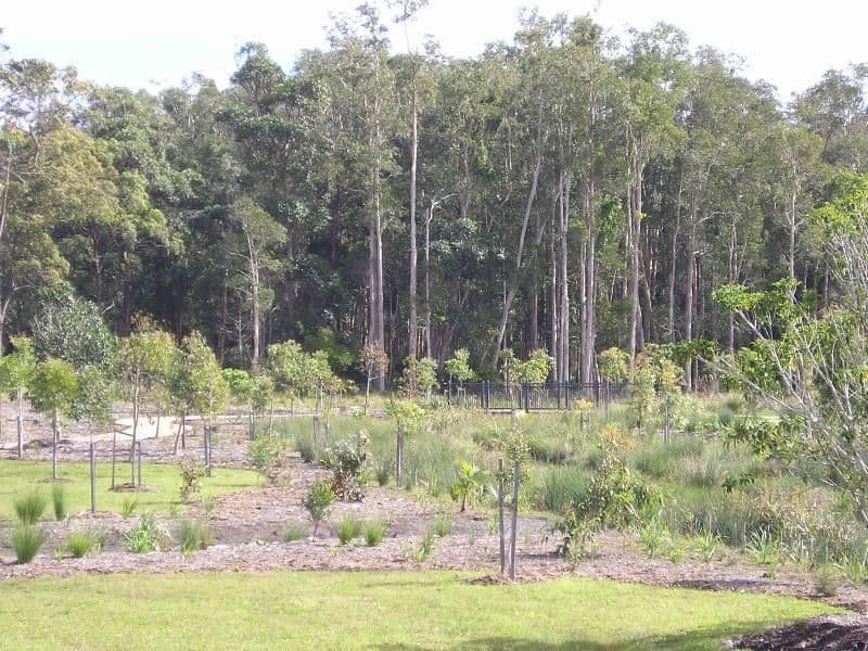 12 Macaranga Court, MERIDAN PLAINS QLD 4551, Meridan Plains - Thumbnail 2