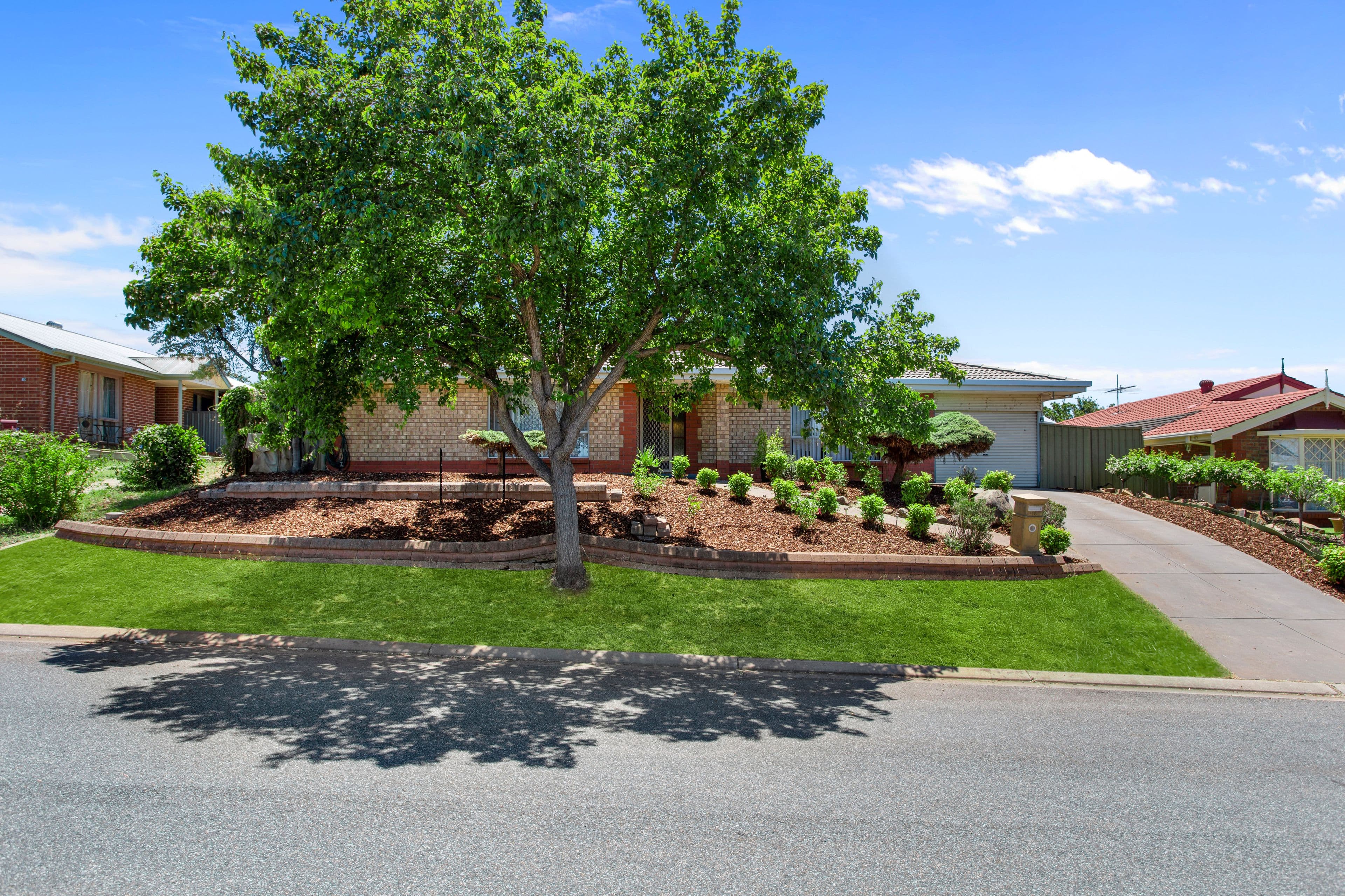 16 Bechervaise Court, Greenwith SA 5125, Greenwith - Thumbnail 6