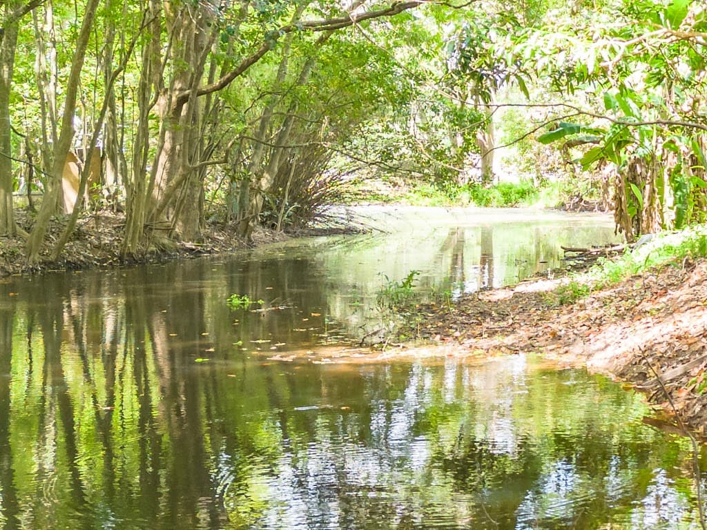 44 Last Post Road, Caboolture, QLD, 4510, Caboolture - Thumbnail 7