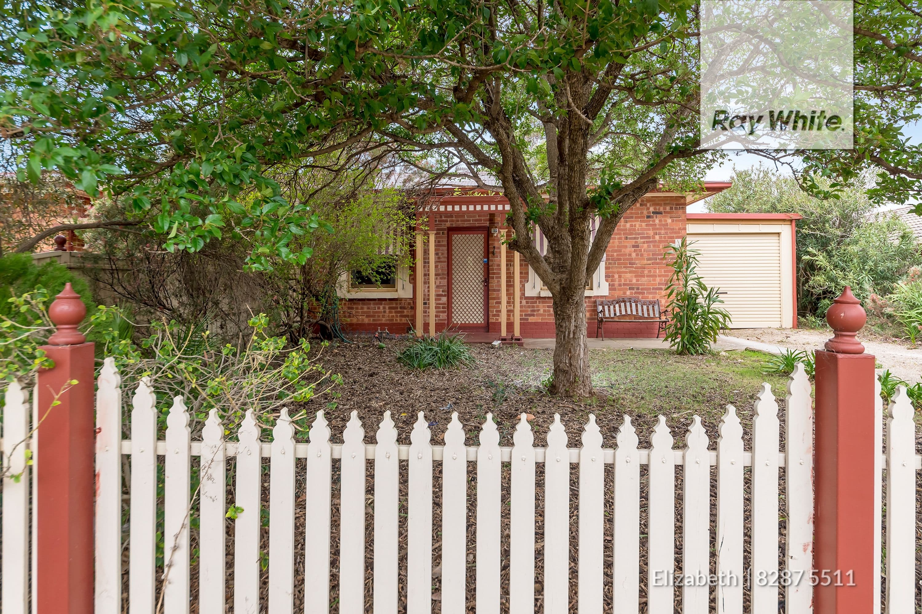 16 Yarnbury Road, Elizabeth North SA 5113, Elizabeth North - Thumbnail 2