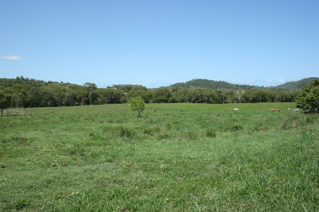 797 Grasstree Road, SARINA QLD 4737, Sarina - Thumbnail 2