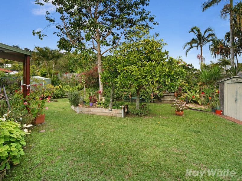 4 Jindabyne Court, Kialla, Kialla - Thumbnail 7
