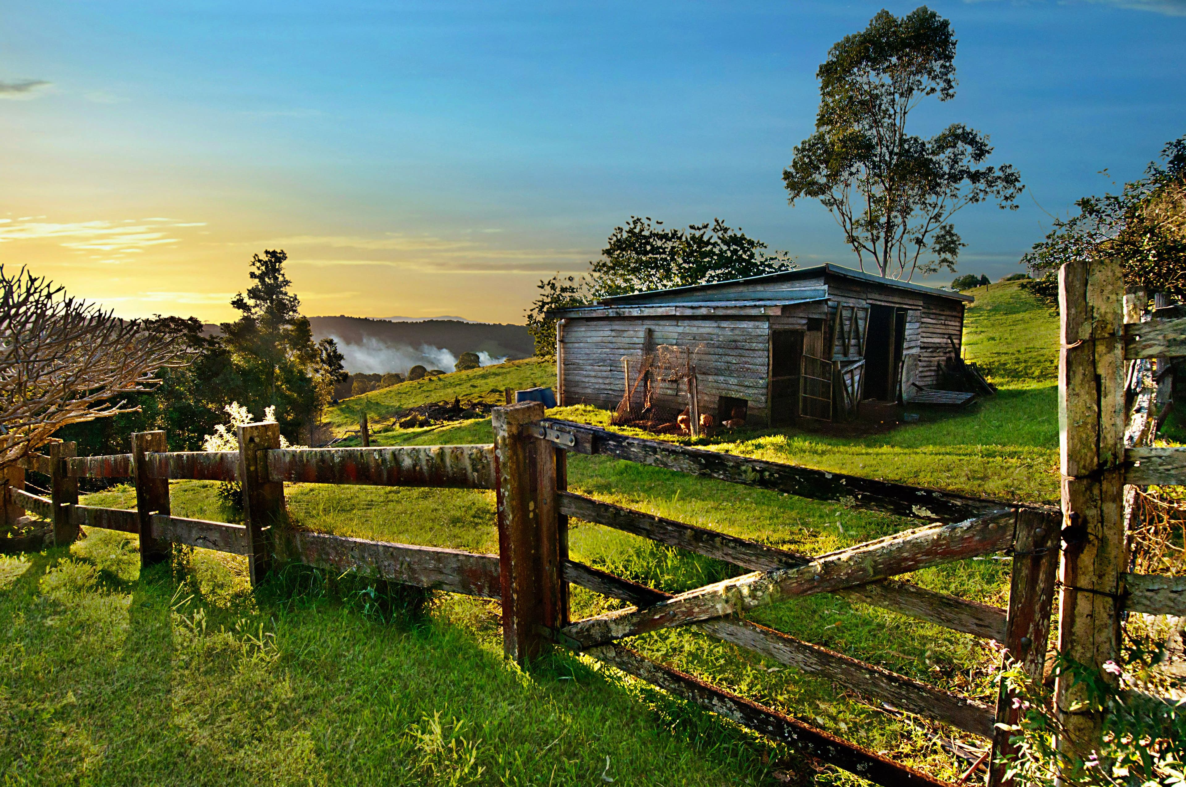 134 Flowers Road, Binna Burra - Thumbnail 3