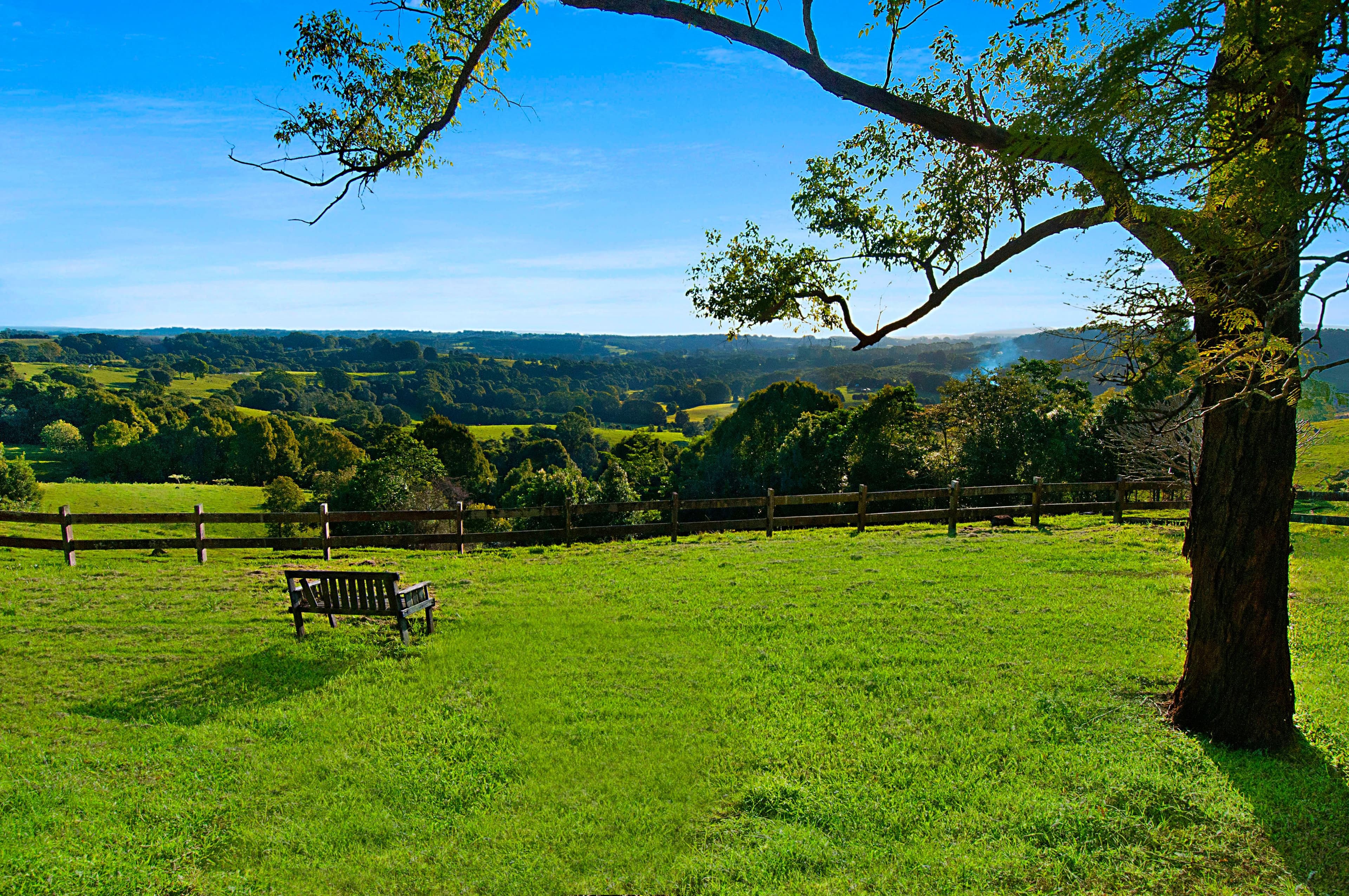 134 Flowers Road, Binna Burra - Thumbnail 5