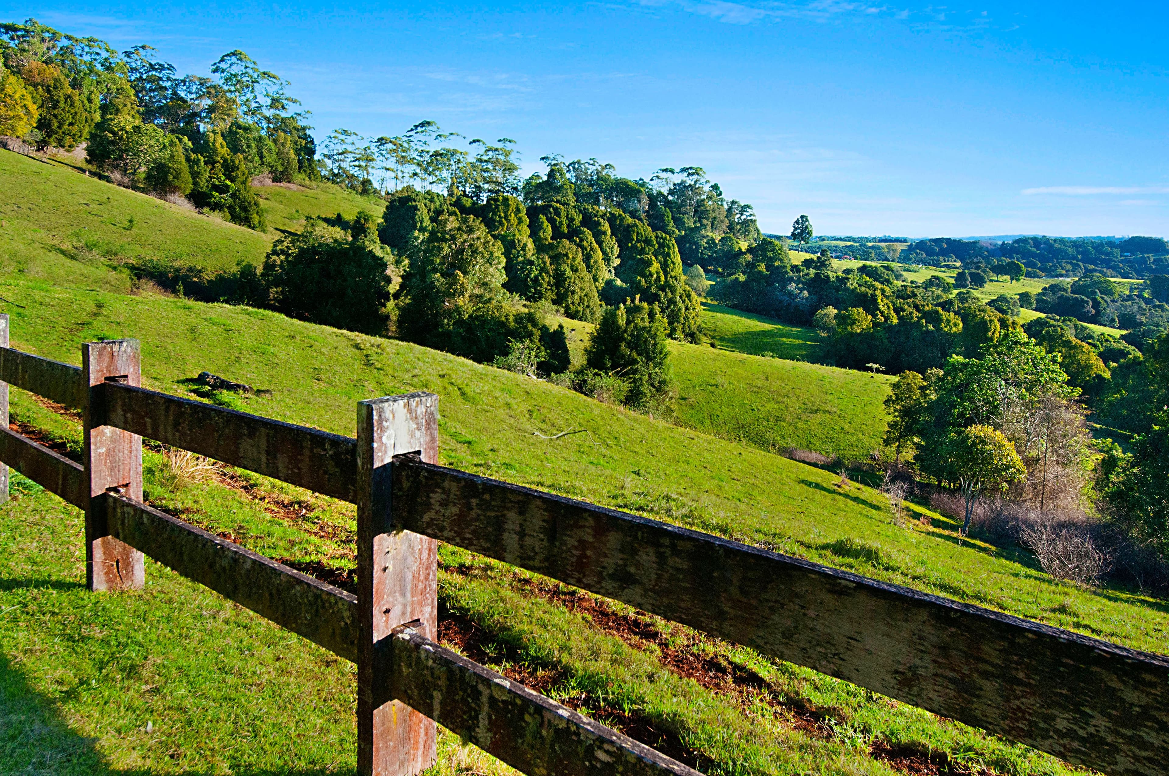 134 Flowers Road, Binna Burra - Thumbnail 7