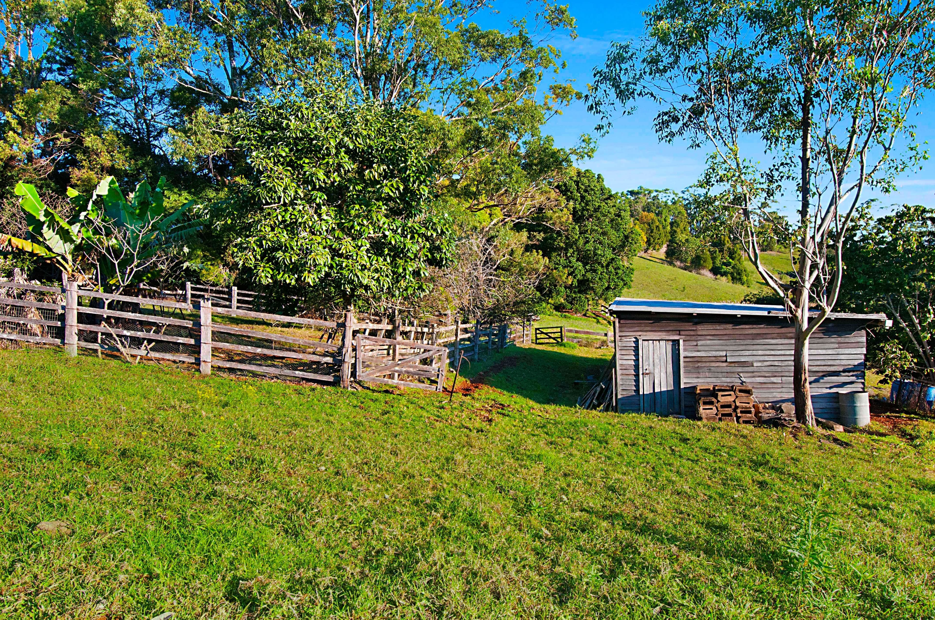 134 Flowers Road, Binna Burra - Thumbnail 8