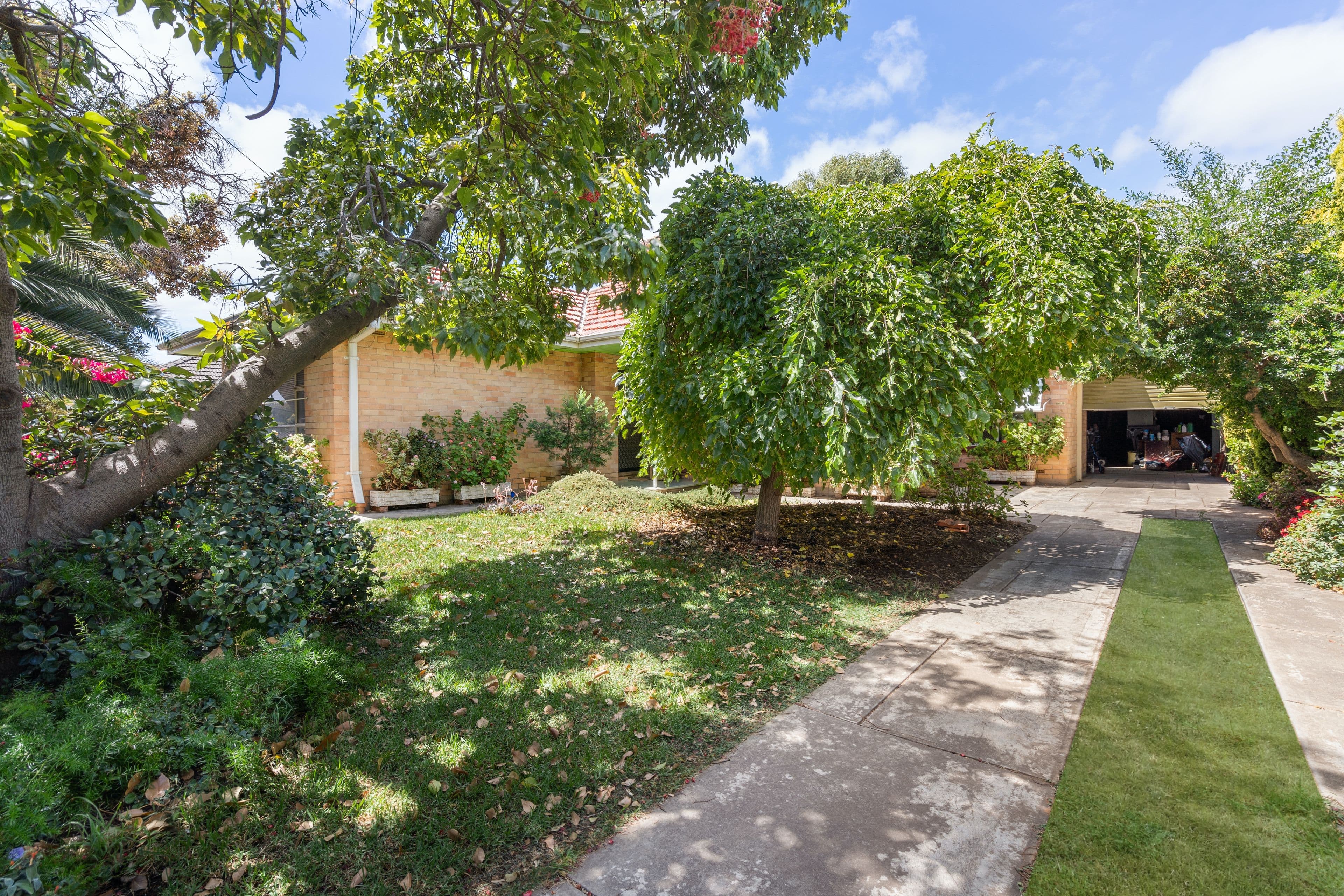 41 Seagull Avenue, Altona - Thumbnail 3