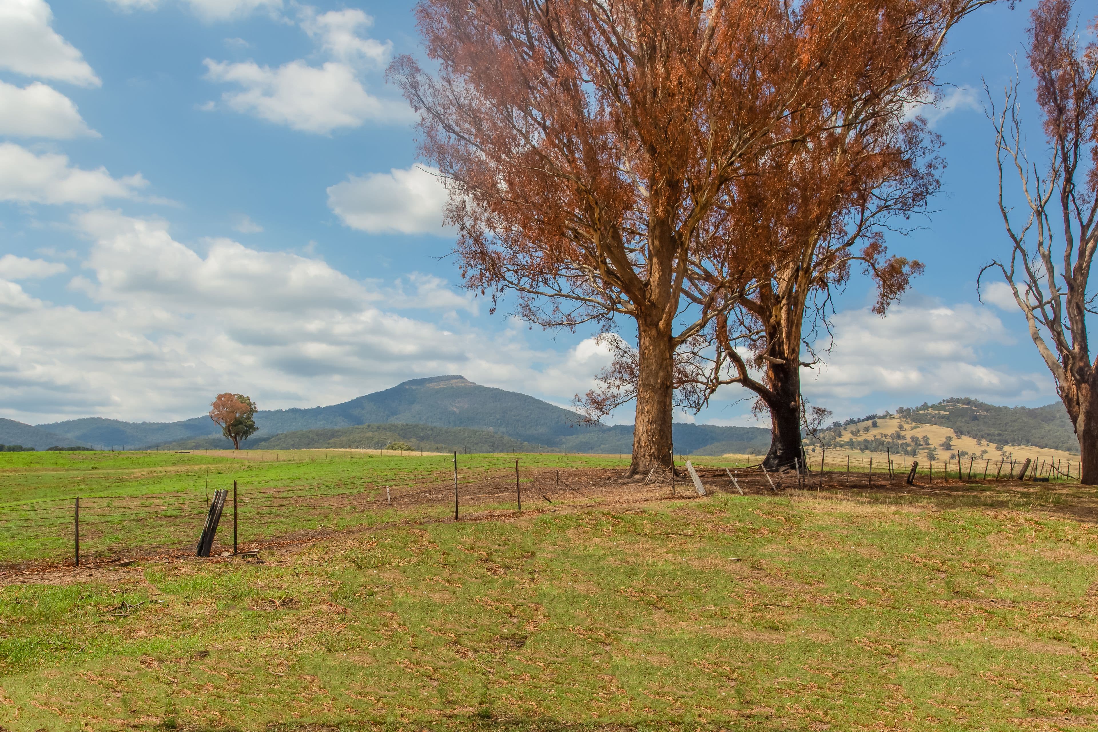 1958 Mt Buller Road, Merrijig VIC 3723, Merrijig - Thumbnail 7