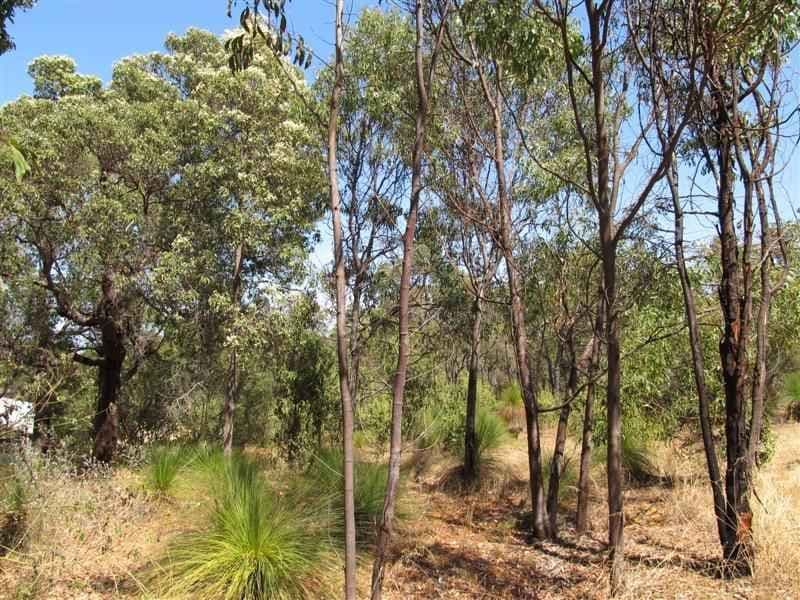 41 Padbury Road, Darlington WA 6070, Darlington - Thumbnail 6