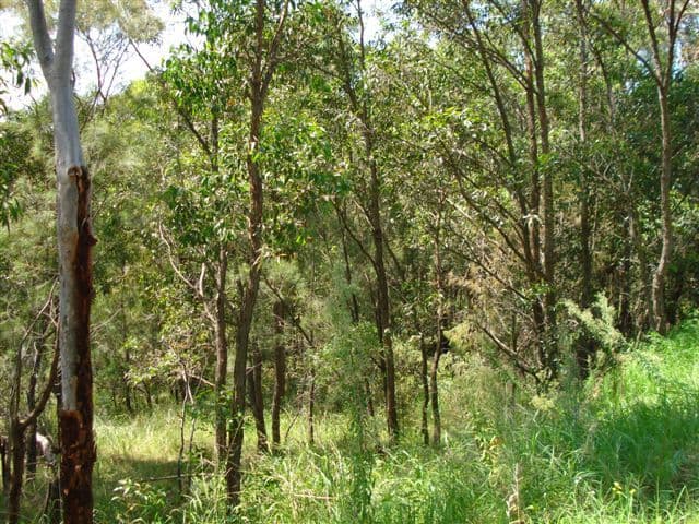 89  Donnelly Road, ARCADIA VALE NSW 2283, Arcadia Vale - Thumbnail 3