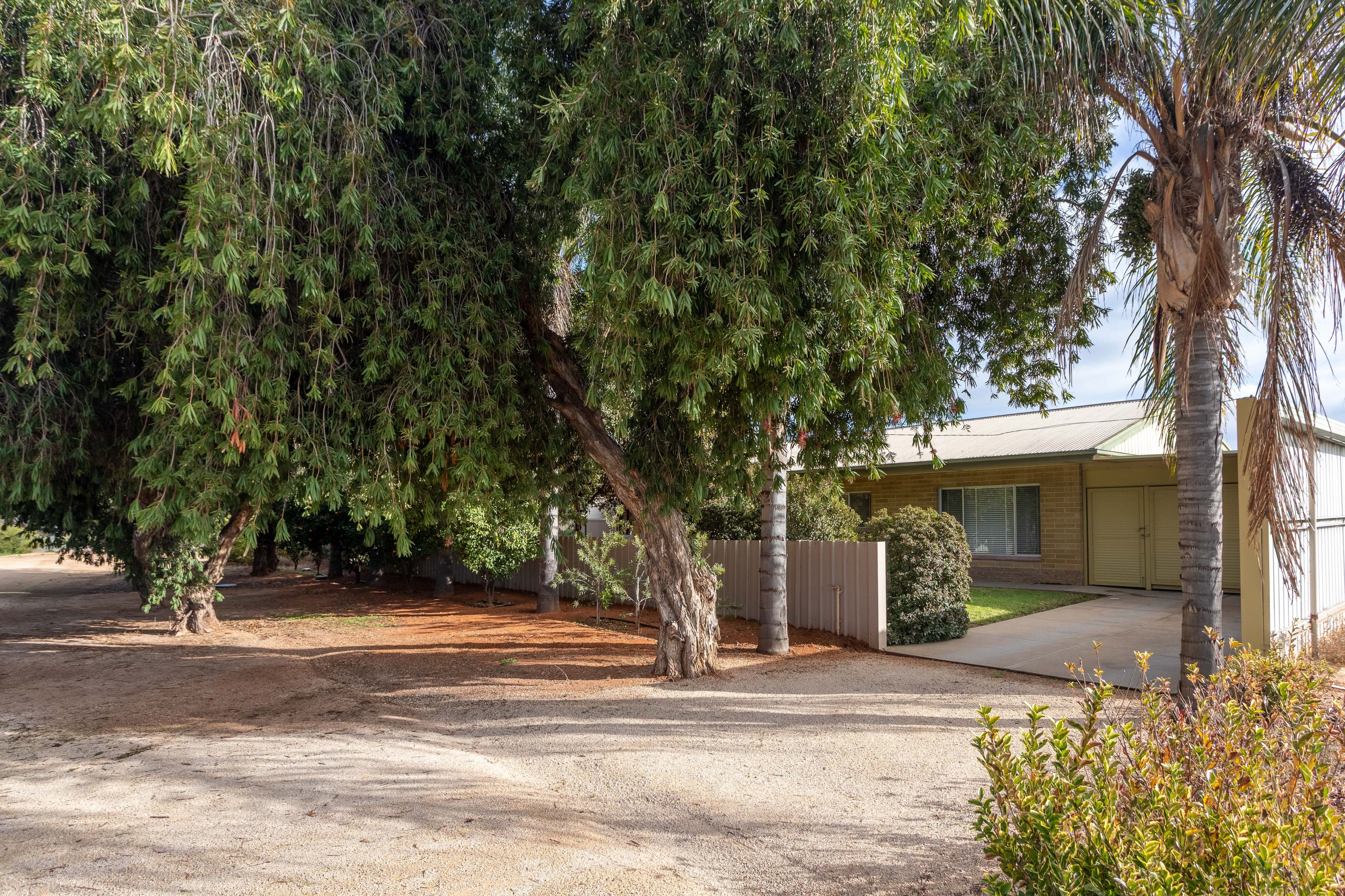 865 Old Sturt Highway, Glossop SA 5344, Glossop - Thumbnail 2