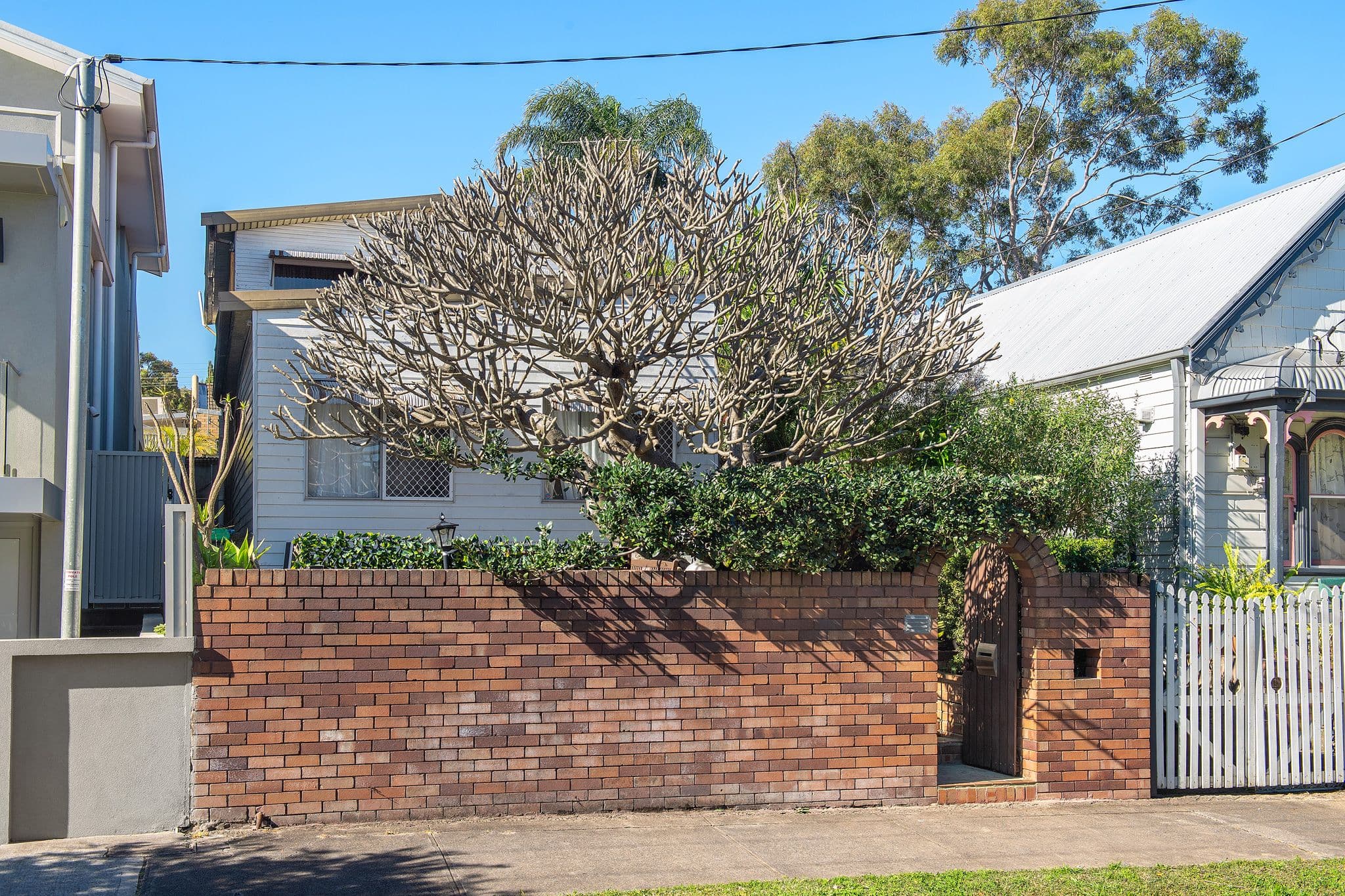 29 James Street, Leichhardt NSW 2040, Leichhardt - Image 1