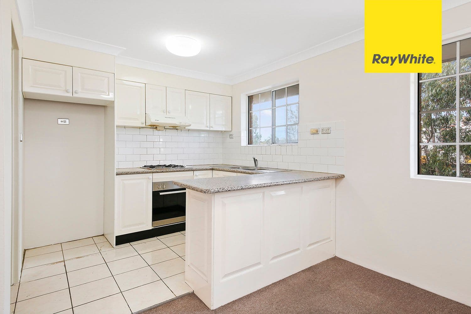 15 Samuel Street, Lidcombe NSW 2141, Lidcombe - Thumbnail 4