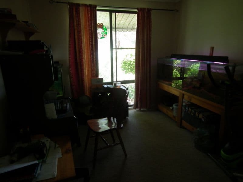 58 Mayne Street, Tiaro QLD 4650, Tiaro - Thumbnail 6