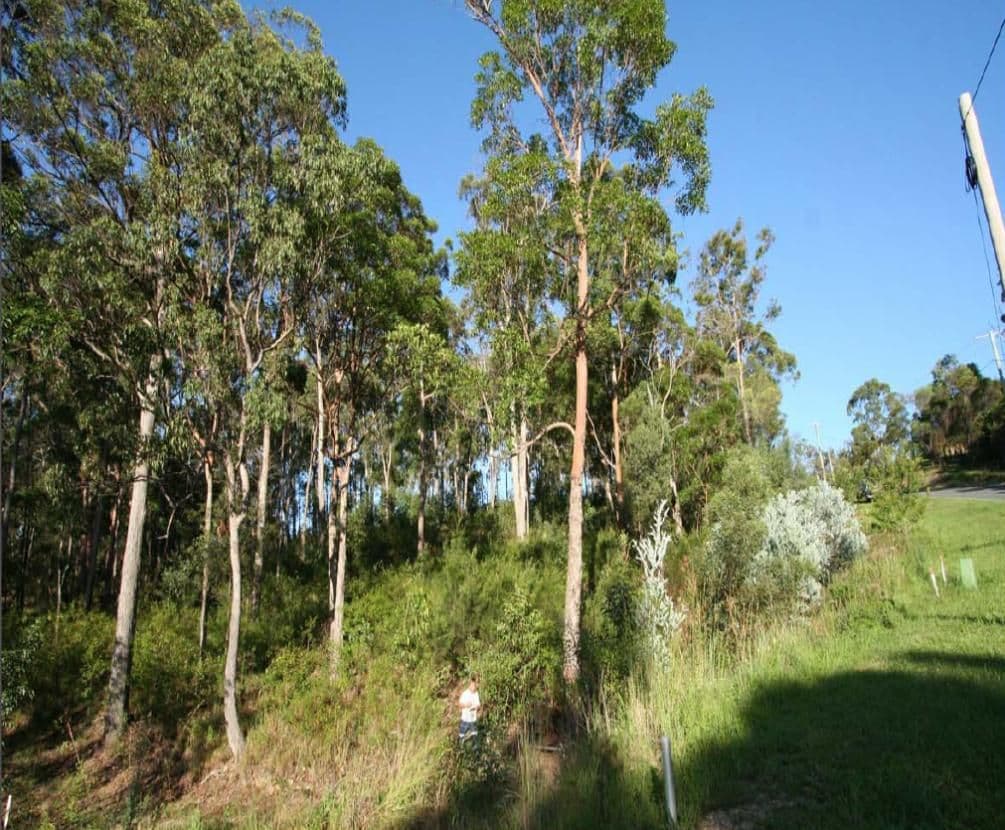 254 Carrington Road, BONOGIN QLD 4213, Bonogin - Thumbnail 3