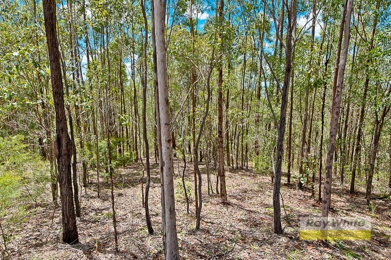 Lot 20 Alison Booker Court, KOBBLE CREEK QLD 4520, Kobble Creek - Thumbnail 7