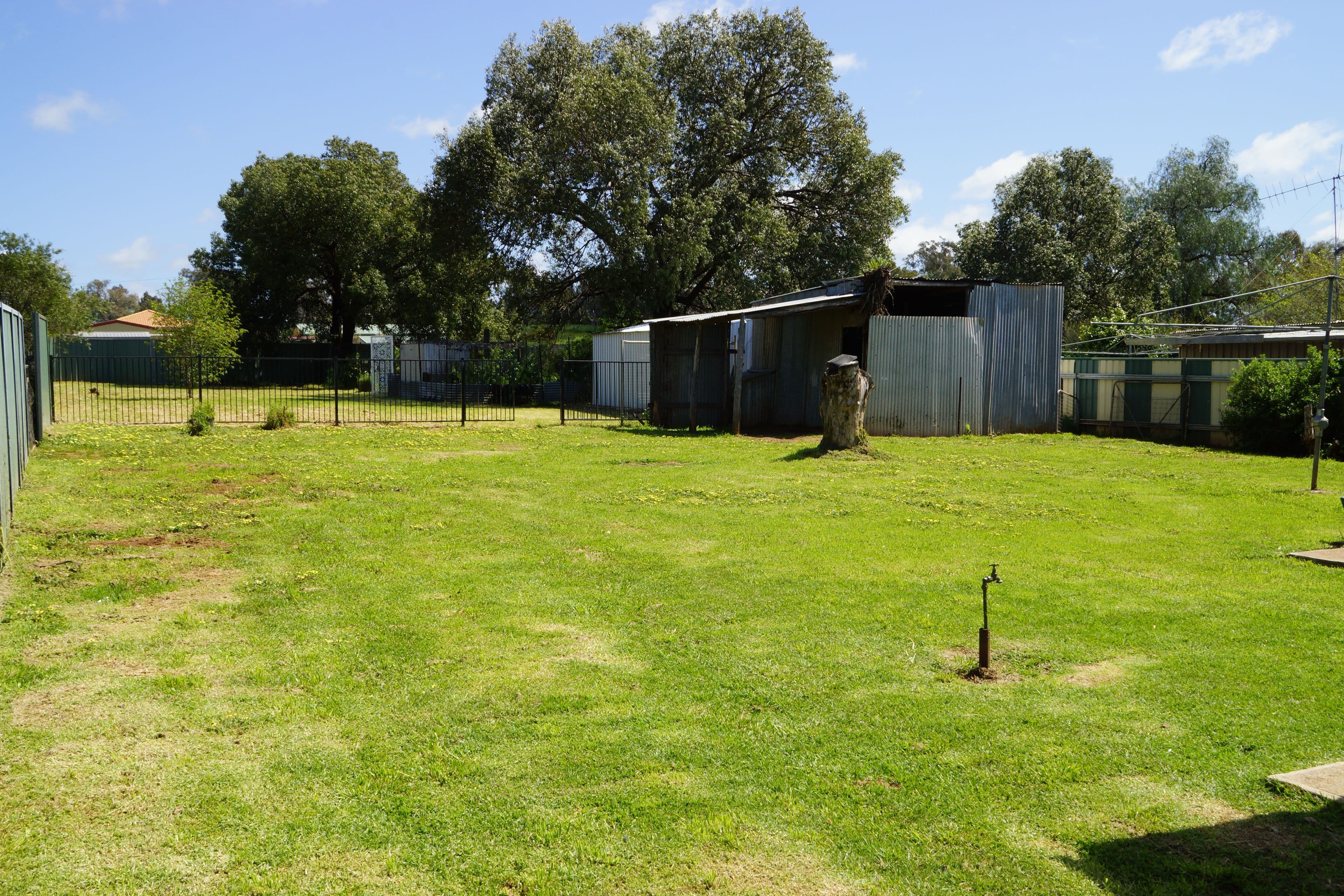 4 Mitchell Street, Geurie - Thumbnail 7
