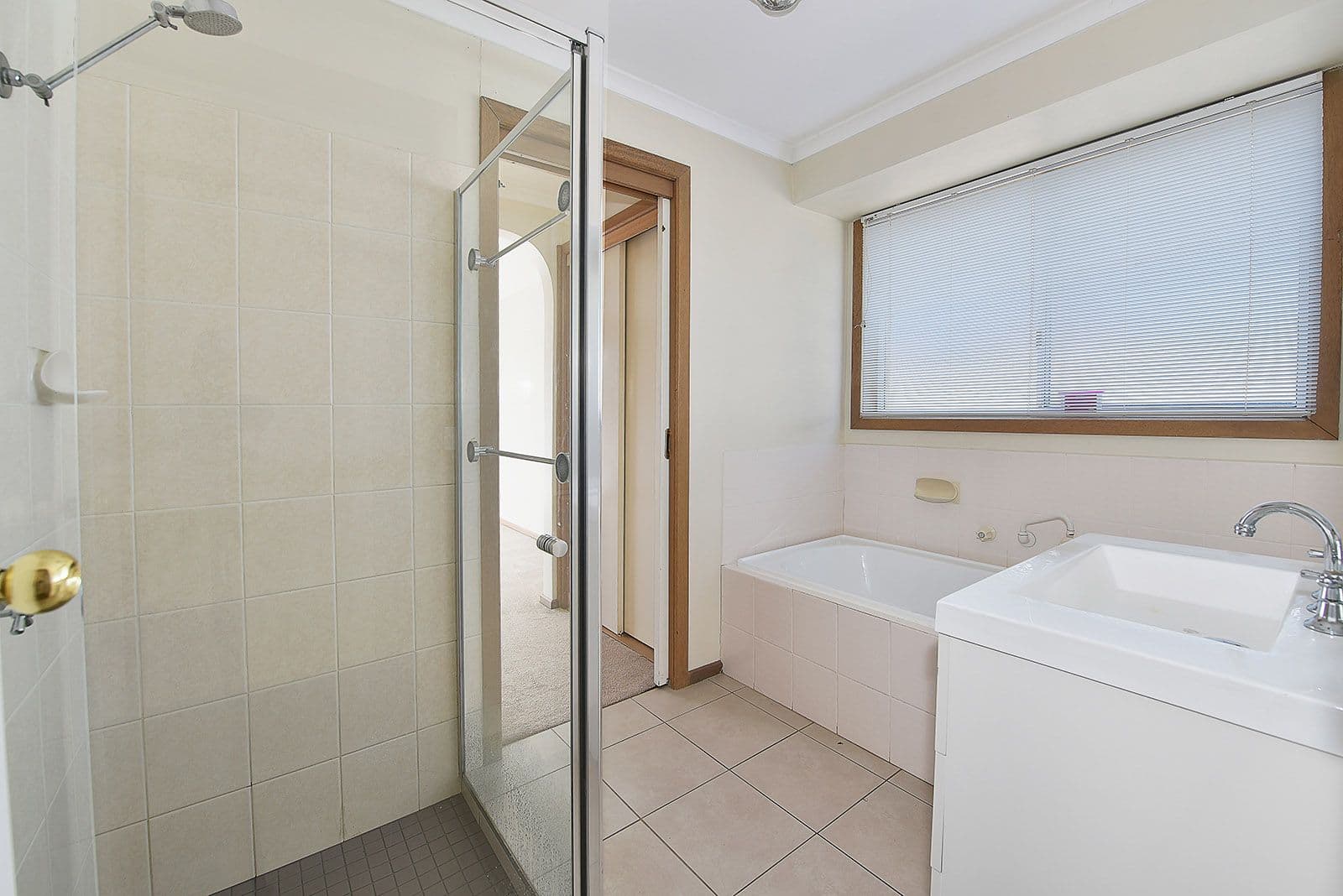 11 Arinya Crescent, Anglesea, VIC, Anglesea - Thumbnail 5