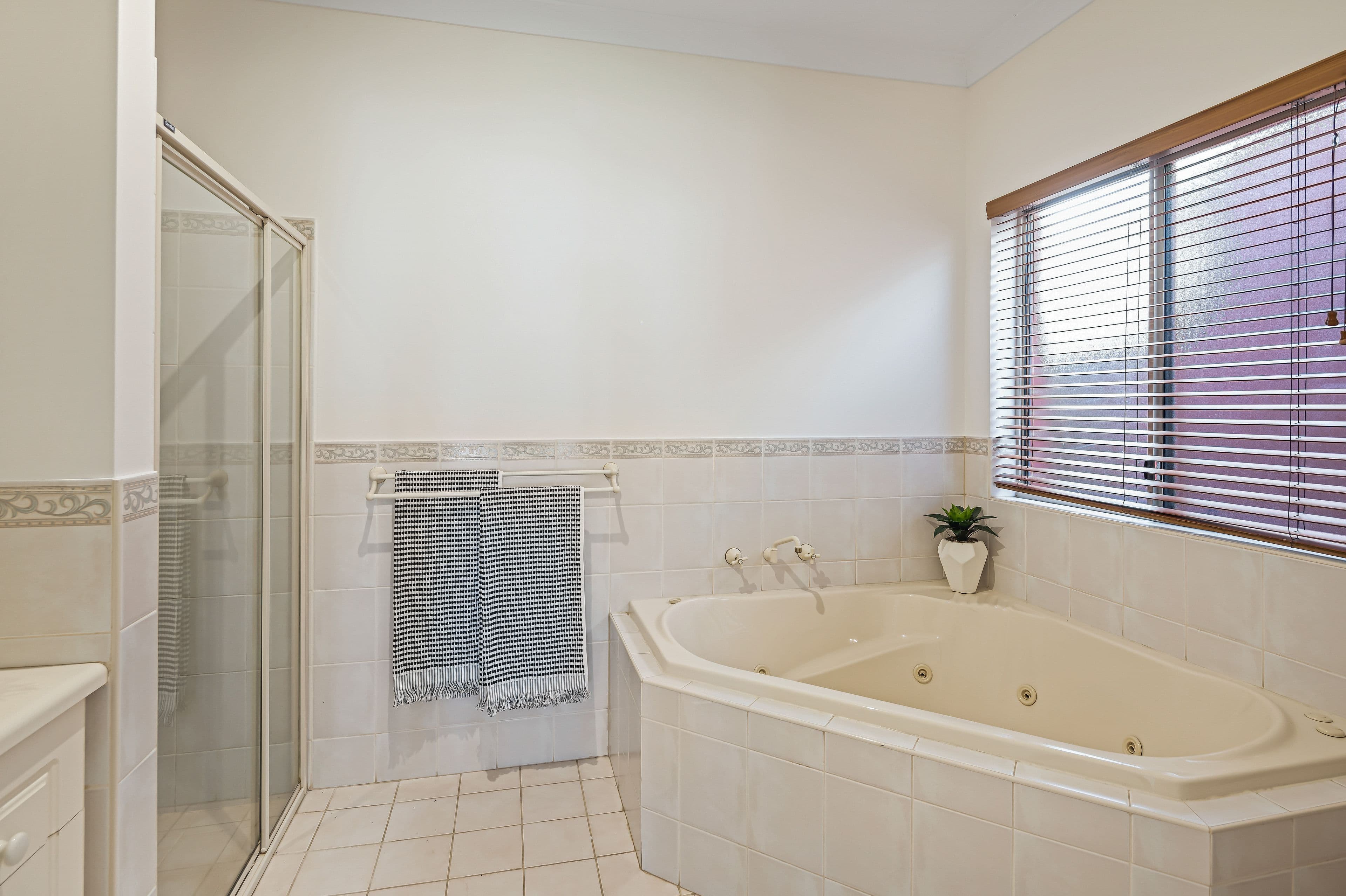 6 Ashbrook Avenue, Payneham SA 5070, Payneham - Thumbnail 5