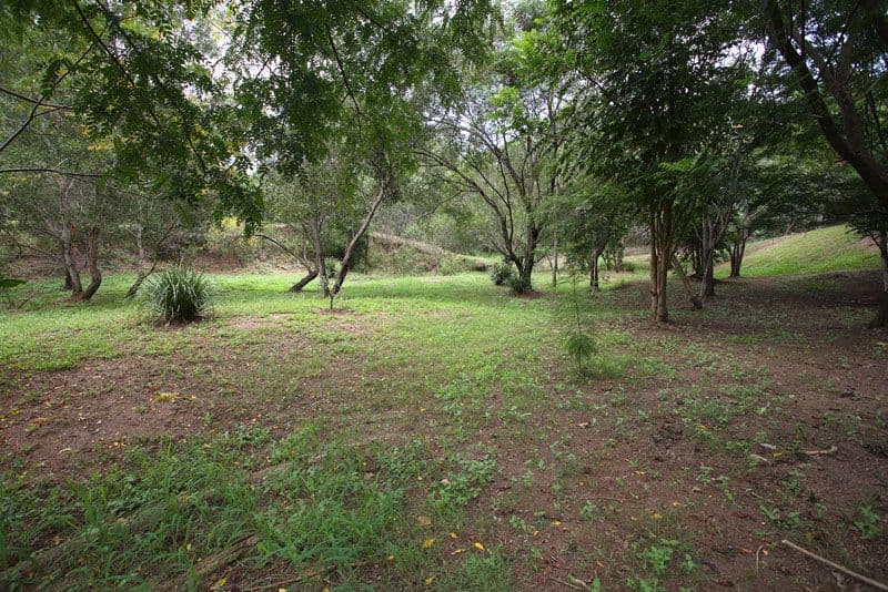 6 Allen Road, BUNYA QLD 4055, Bunya - Thumbnail 8