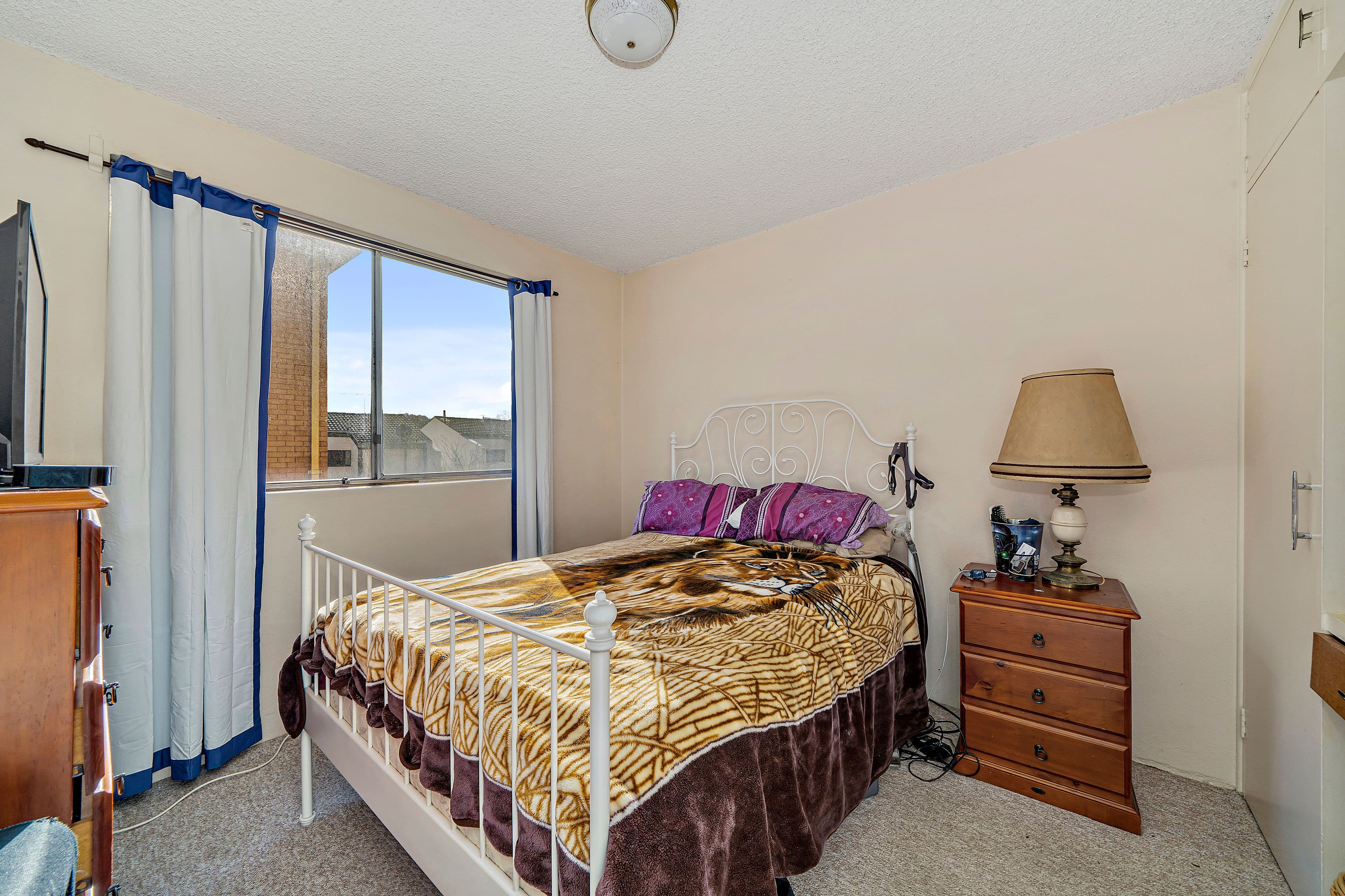 17 Campbell Street, Queanbeyan NSW 2620, Queanbeyan - Thumbnail 6