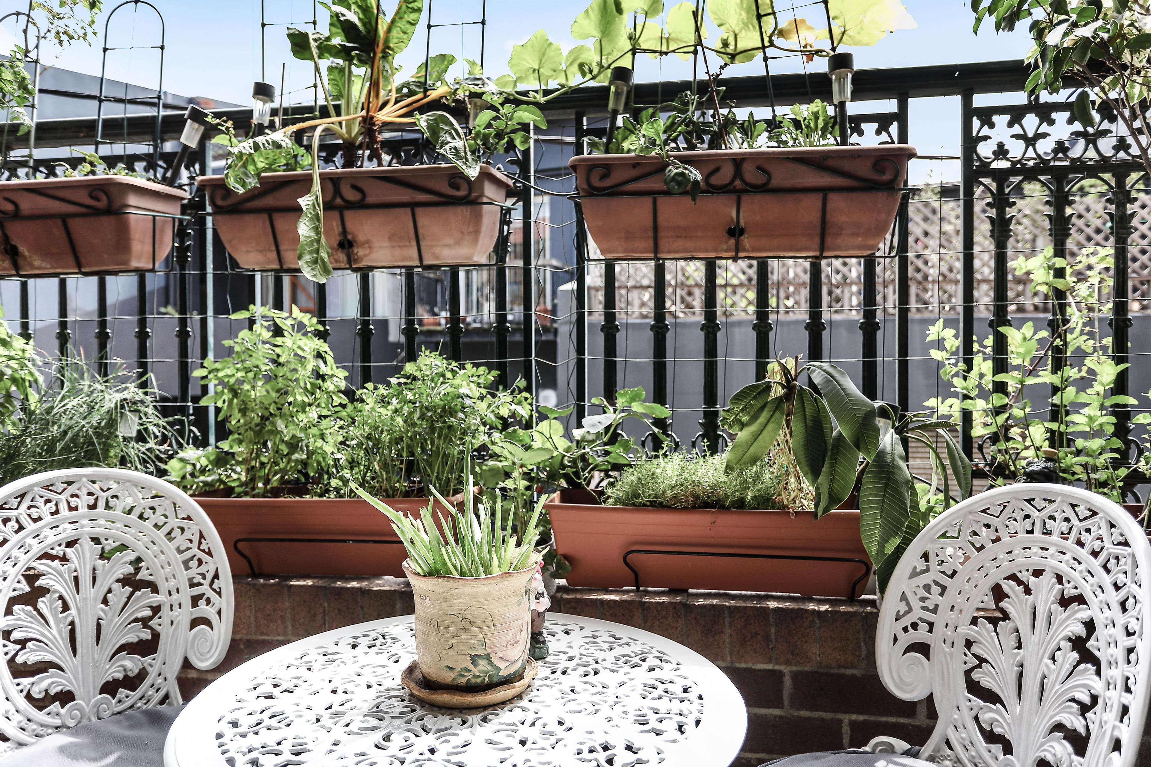 187-189 Cleveland Street, Redfern NSW 2016, Redfern - Thumbnail 3