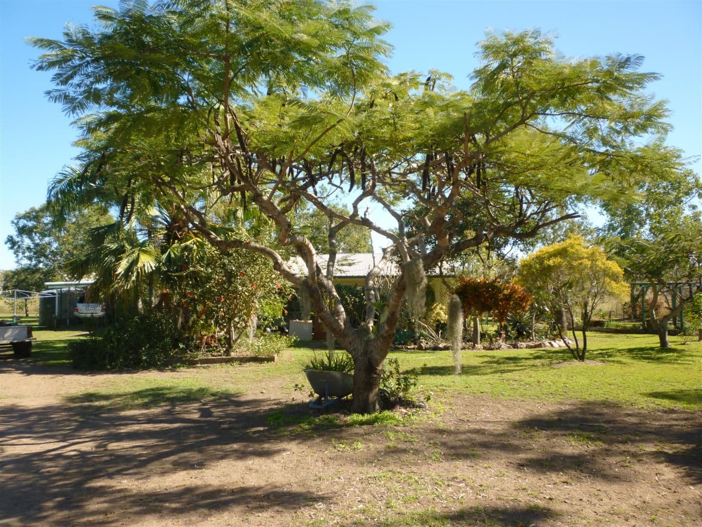 372 Cherryfield Road, GRACEMERE QLD 4702, Gracemere - Image 1
