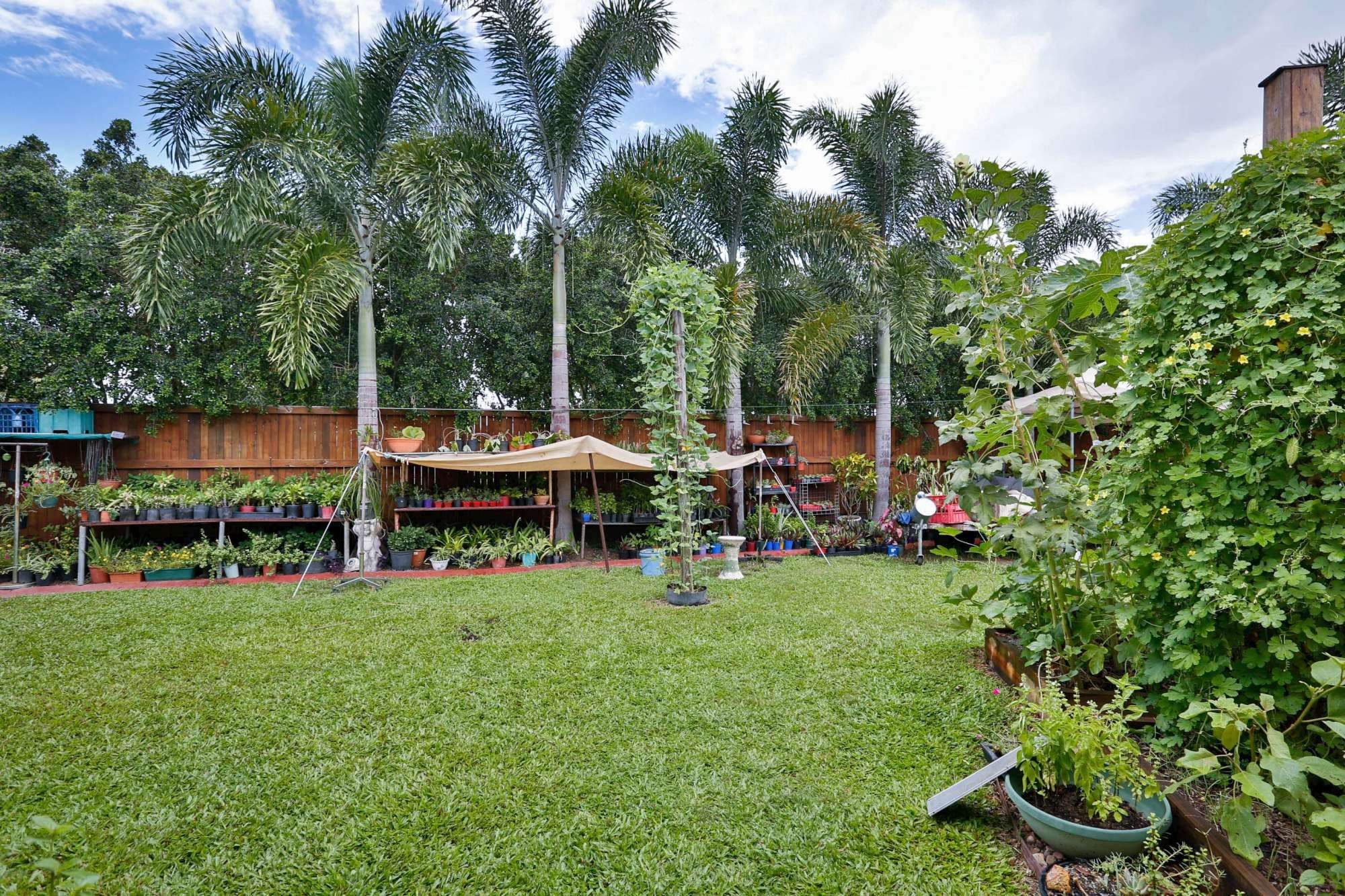 5 Langley Place, Kirwan QLD 4817, Kirwan - Thumbnail 2