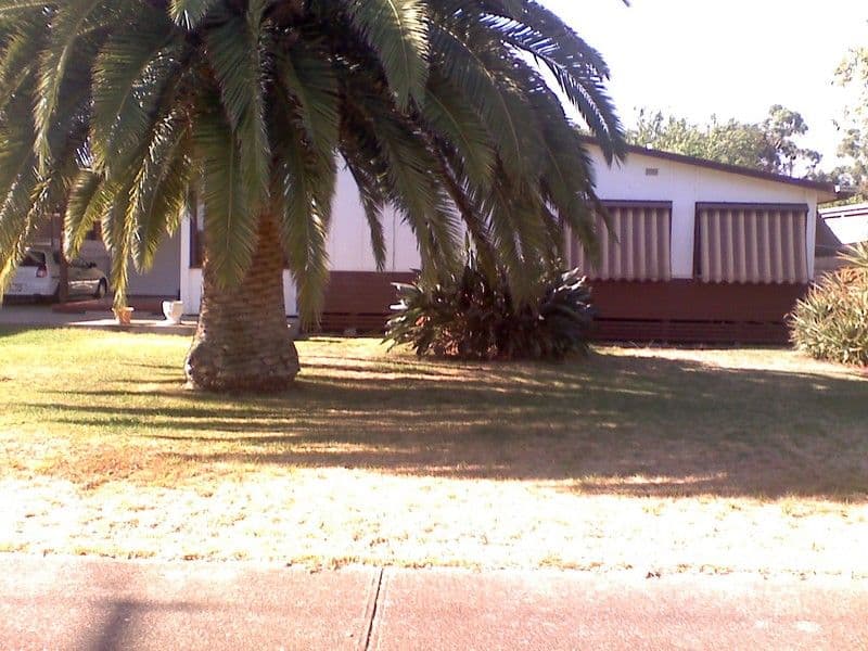6 Lindsay Street, STURT SA 5047, Sturt - Image 1