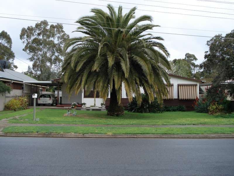6 Lindsay Street, STURT SA 5047, Sturt - Thumbnail 2