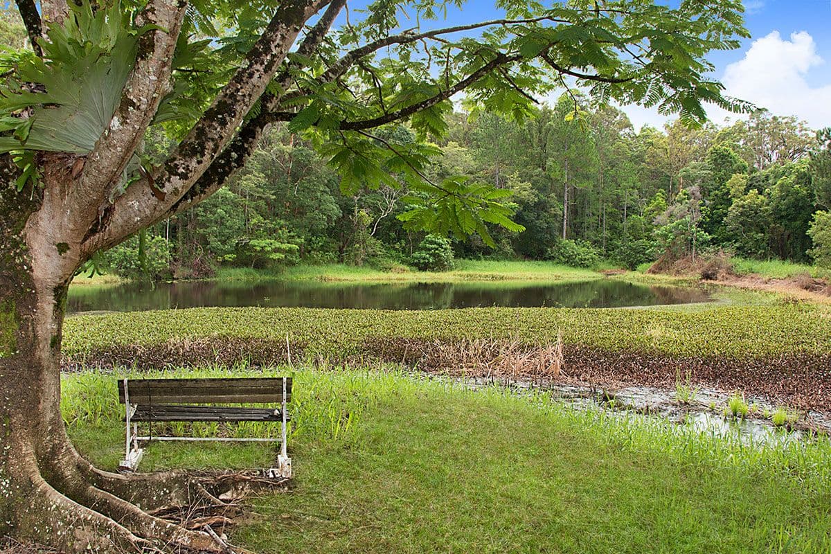 654 Blackall Range Road, West Woombye QLD 4559, West Woombye - Thumbnail 2
