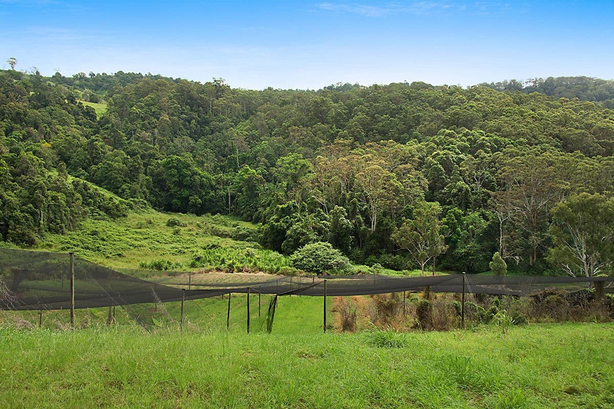654 Blackall Range Road, West Woombye QLD 4559, West Woombye - Thumbnail 3