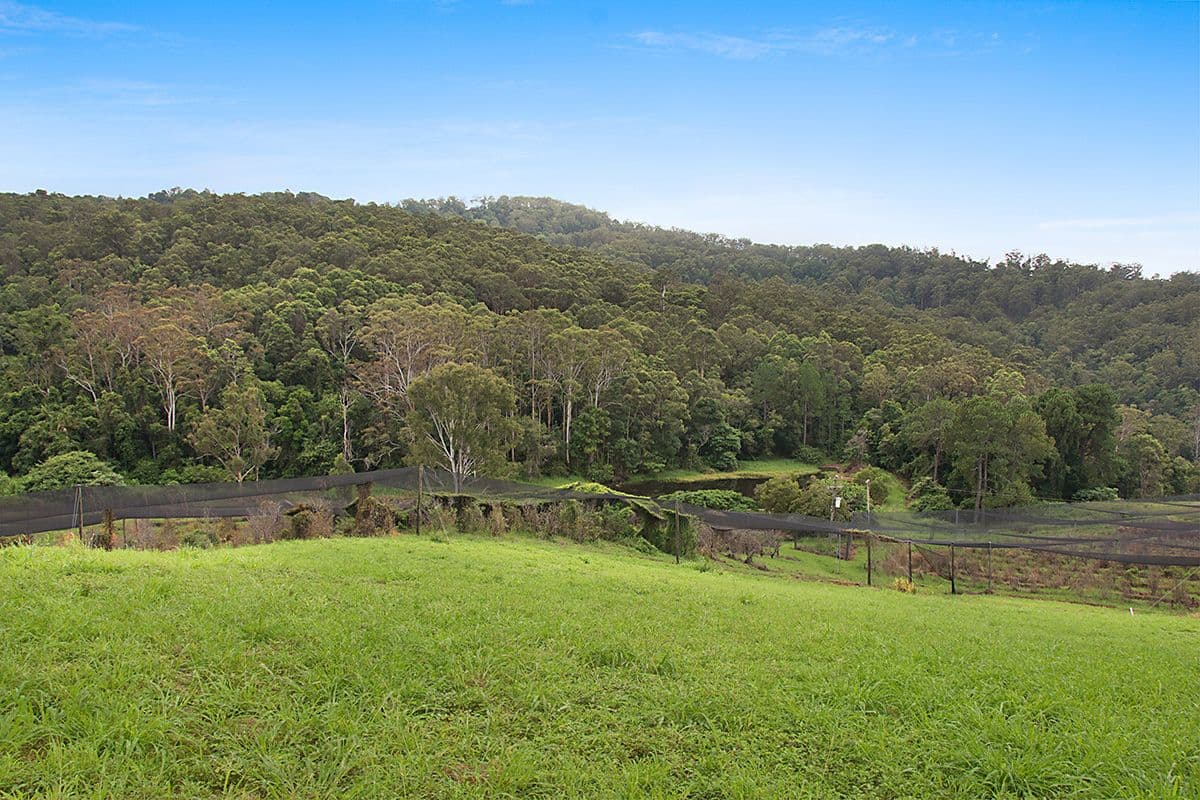654 Blackall Range Road, West Woombye QLD 4559, West Woombye - Thumbnail 5