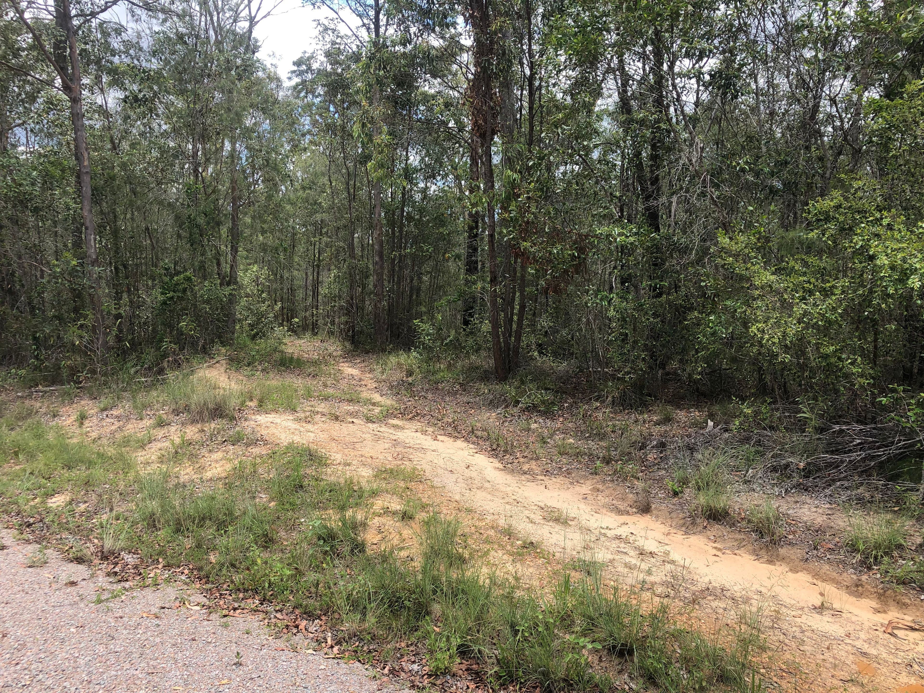 0 Messmate Road, Talegalla Weir QLD 4650, Talegalla Weir - Thumbnail 5