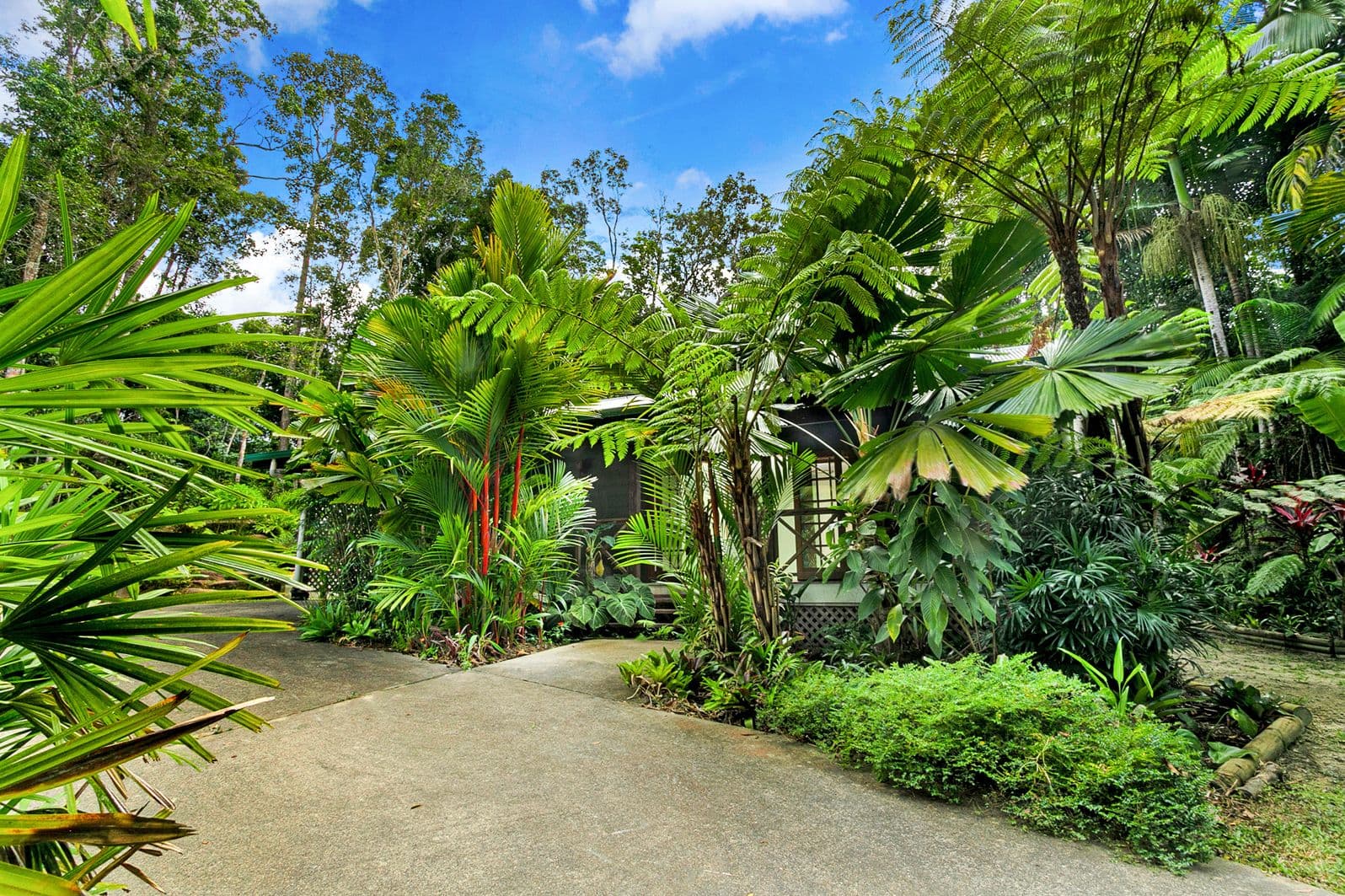 34 Butler Drive, Kuranda QLD 4881, Kuranda - Image 1