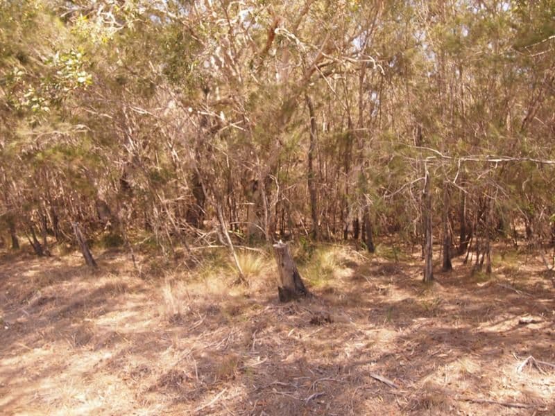 38 Ti Tree Rd East, Booral QLD 4655, Booral - Thumbnail 2