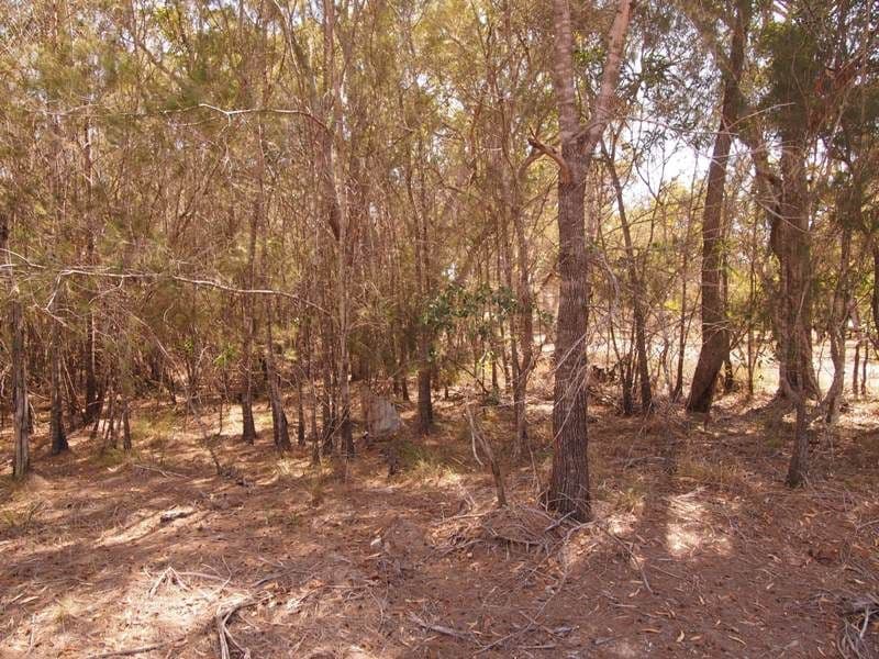 38 Ti Tree Rd East, Booral QLD 4655, Booral - Thumbnail 3