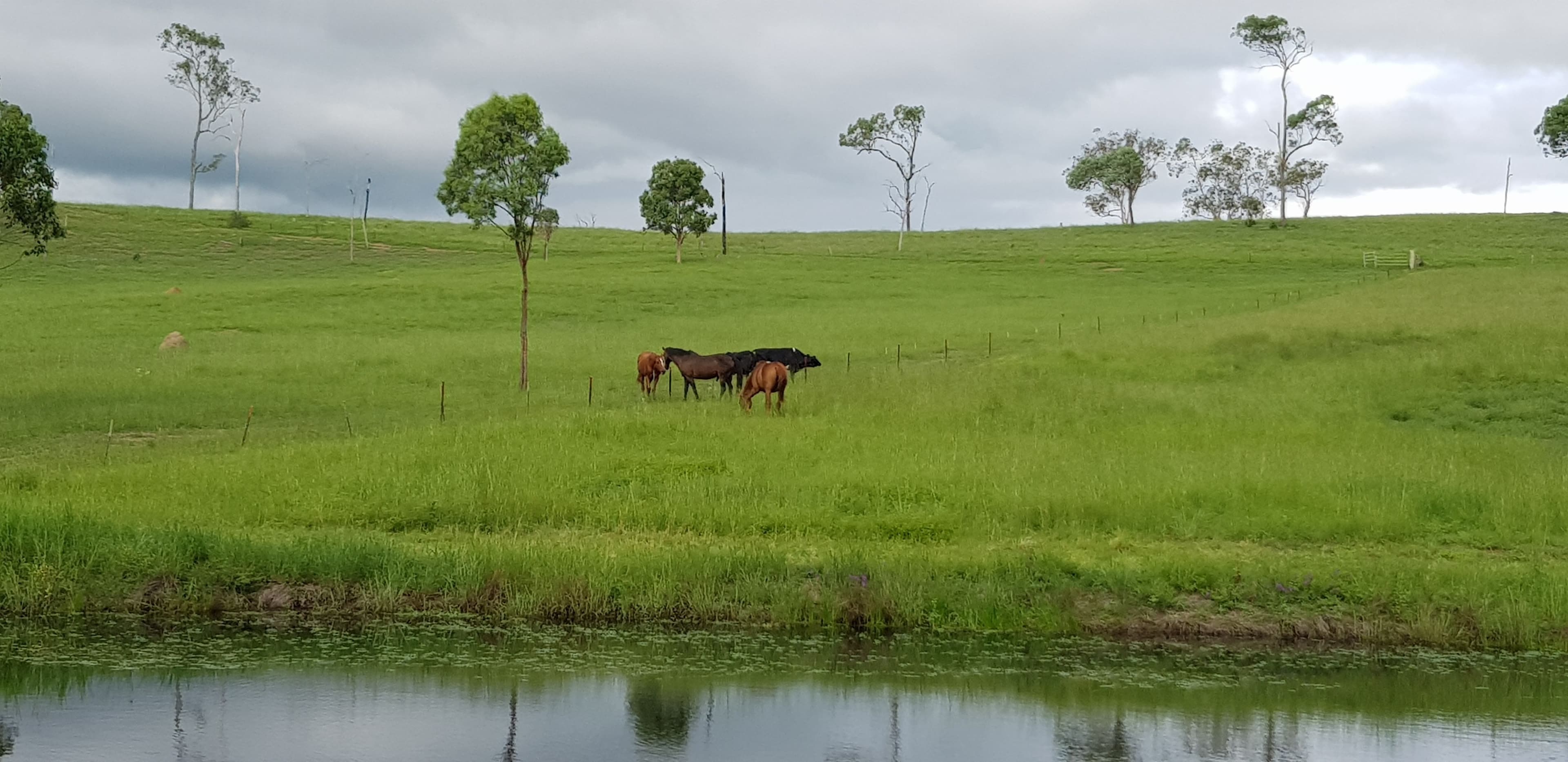 161 Dead Horse Lane, Toogoolawah QLD 4313, Toogoolawah - Thumbnail 2