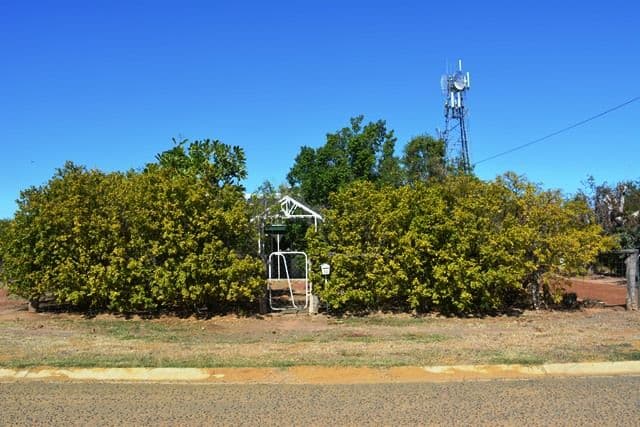 42 Thistle Street, Blackall QLD 4472, Blackall - Thumbnail 8