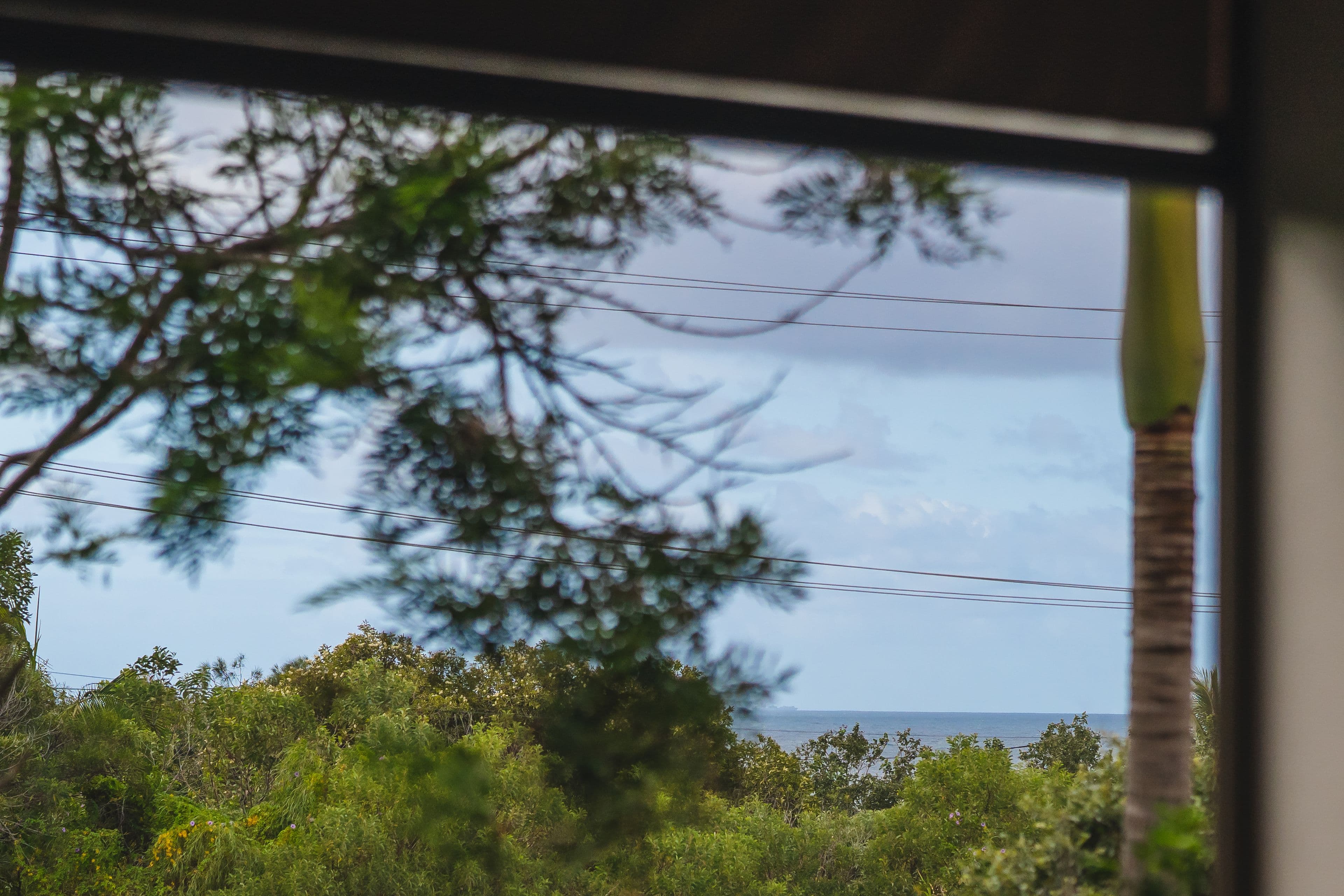 44 Ventura Street, Sunrise Beach QLD 4567, Sunrise Beach - Thumbnail 4