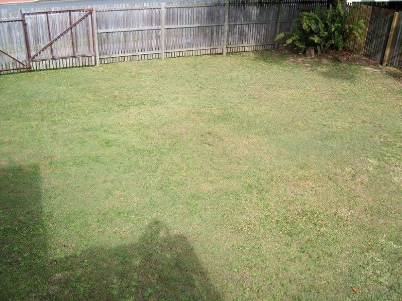 61 Sallows Street, ALEXANDRA HILLS QLD 4161, Alexandra Hills - Thumbnail 7