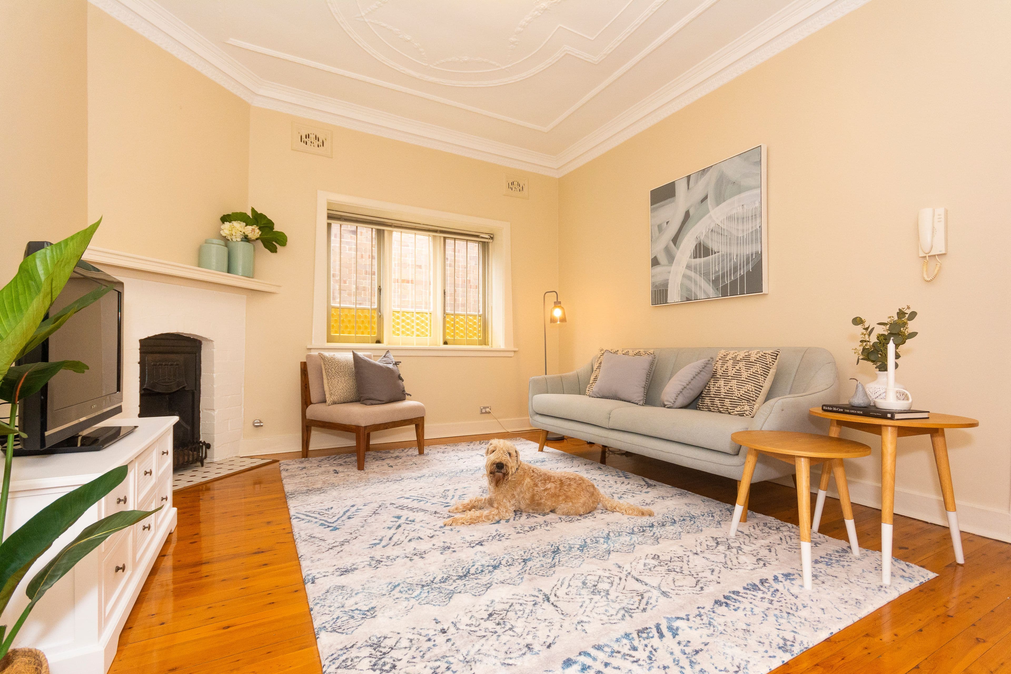 95 Kensington Road, Summer Hill NSW 2130, Summer Hill - Thumbnail 8