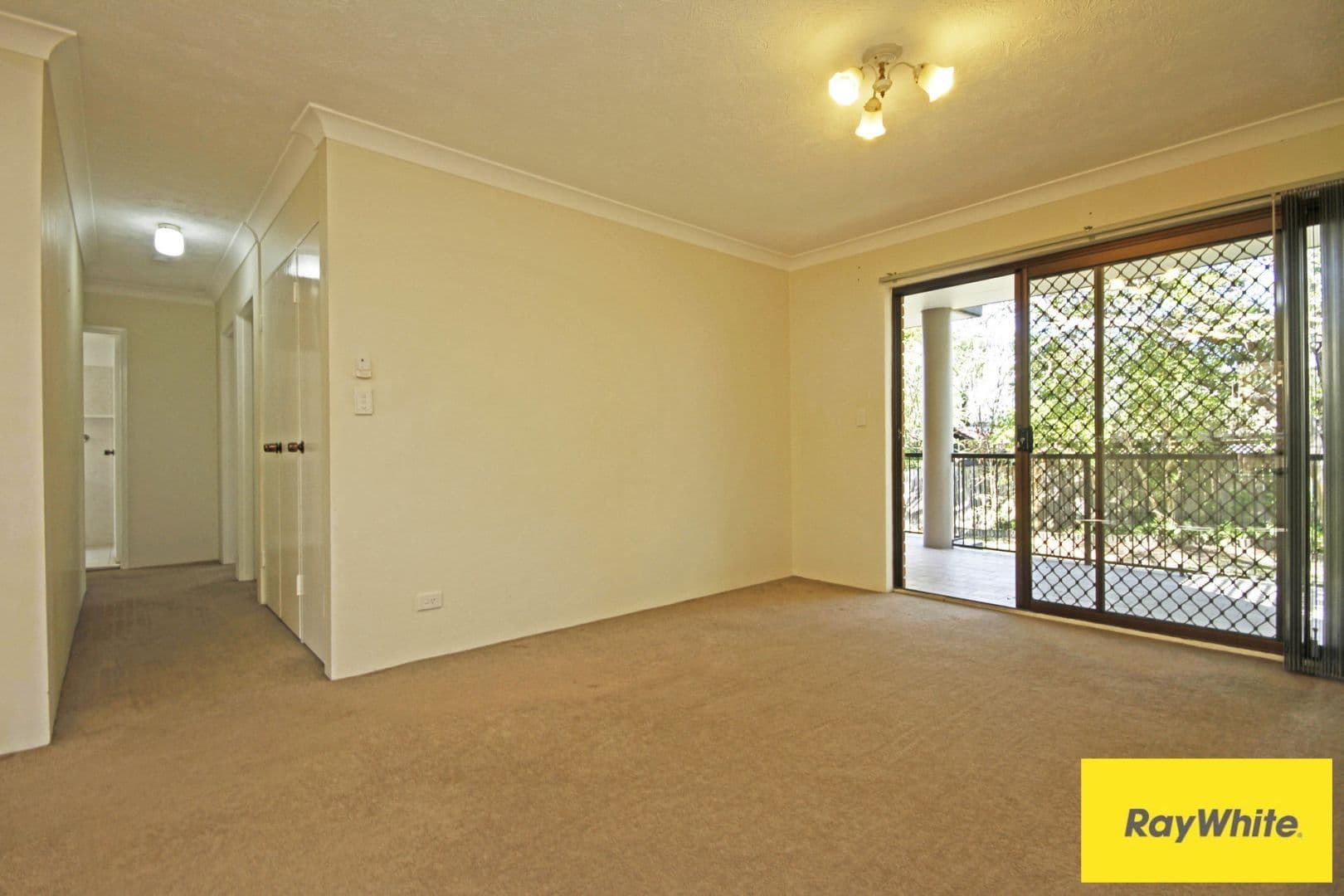 45 Harold Street, Holland Park QLD 4121, Holland Park - Thumbnail 4