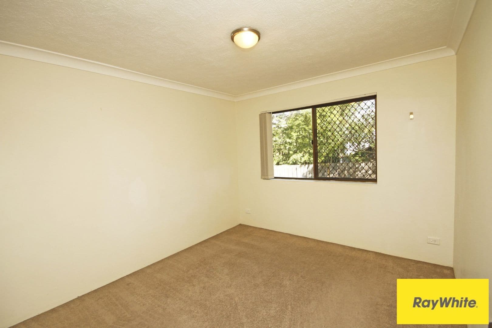 45 Harold Street, Holland Park QLD 4121, Holland Park - Thumbnail 8