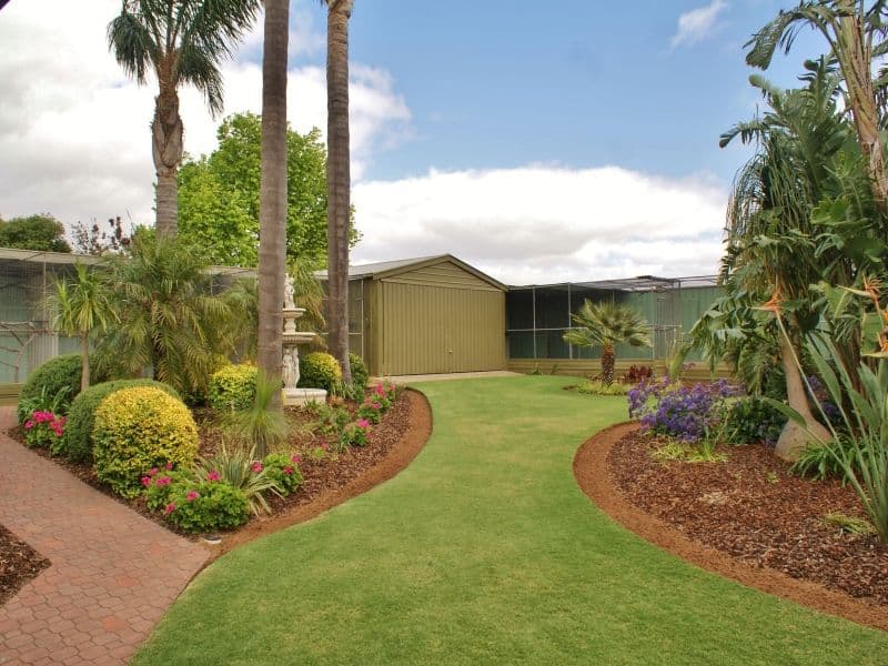 279 Adelaide Road, MURRAY BRIDGE SA 5253, Murray Bridge - Thumbnail 5