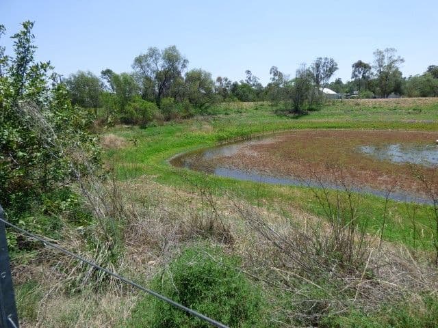 48a Roslyn Drive, Roma QLD 4455, Roma - Thumbnail 5