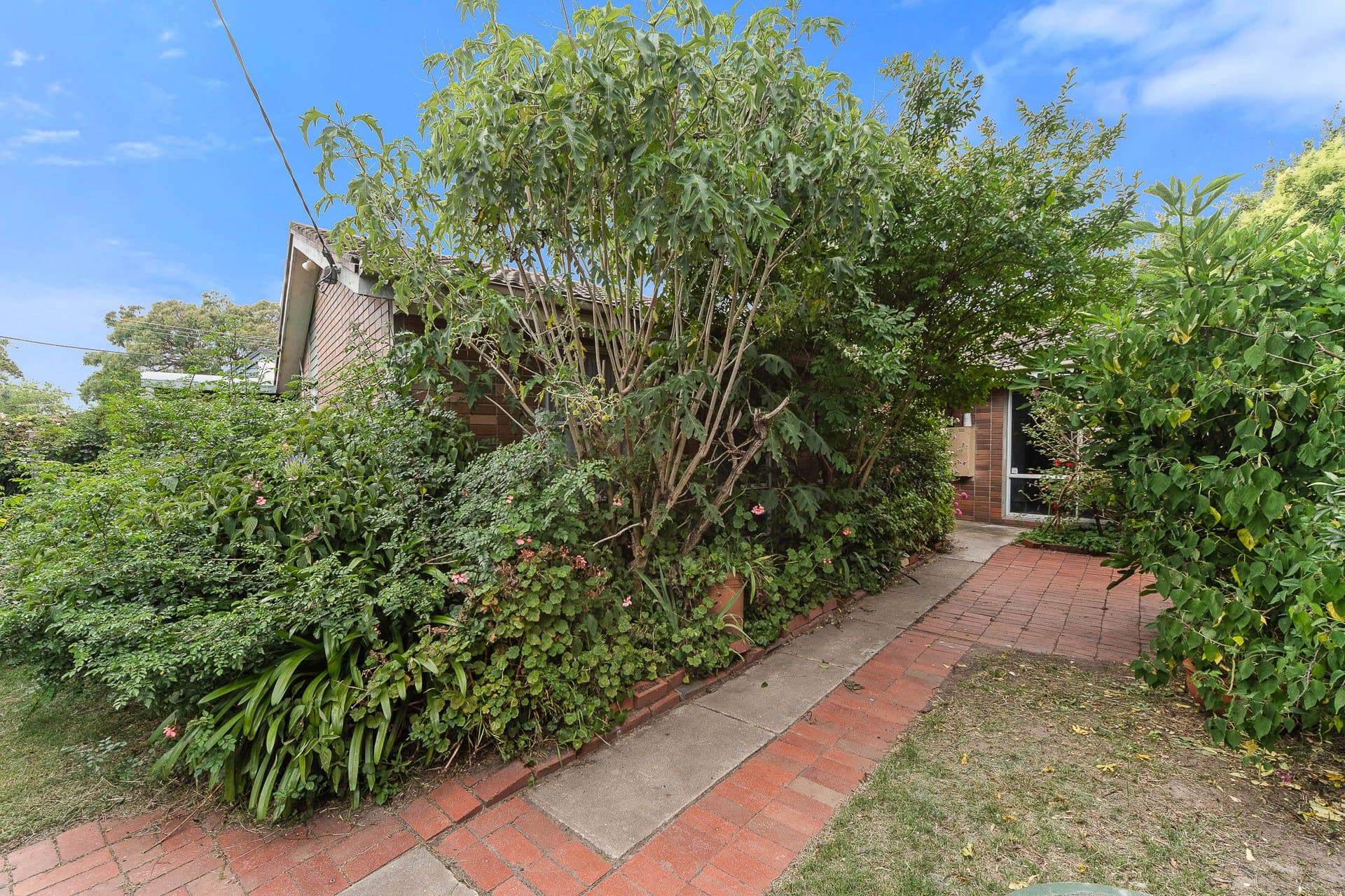 75 Robertson Drive, Mornington VIC 3931, Mornington - Thumbnail 2