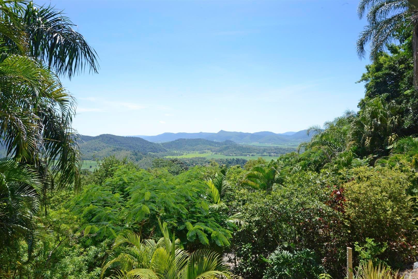 161 Staniland Drive, Strathdickie QLD 4800, Strathdickie - Thumbnail 7